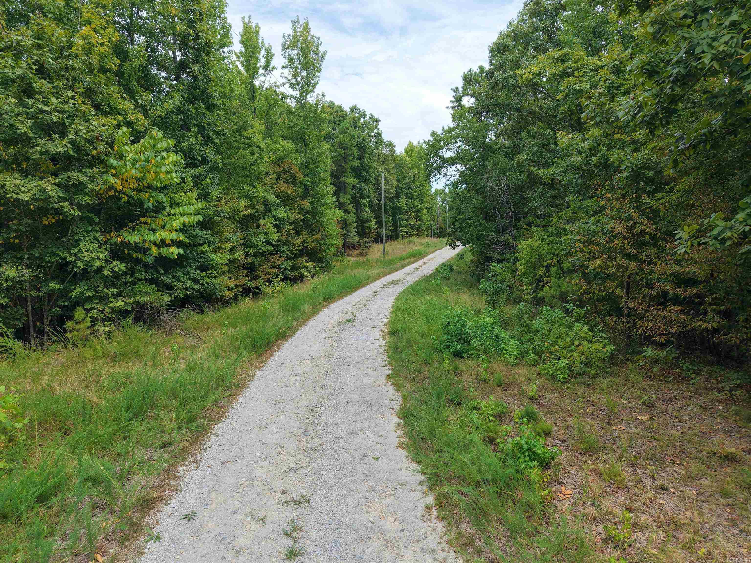 84 Archwood Property Photo 3