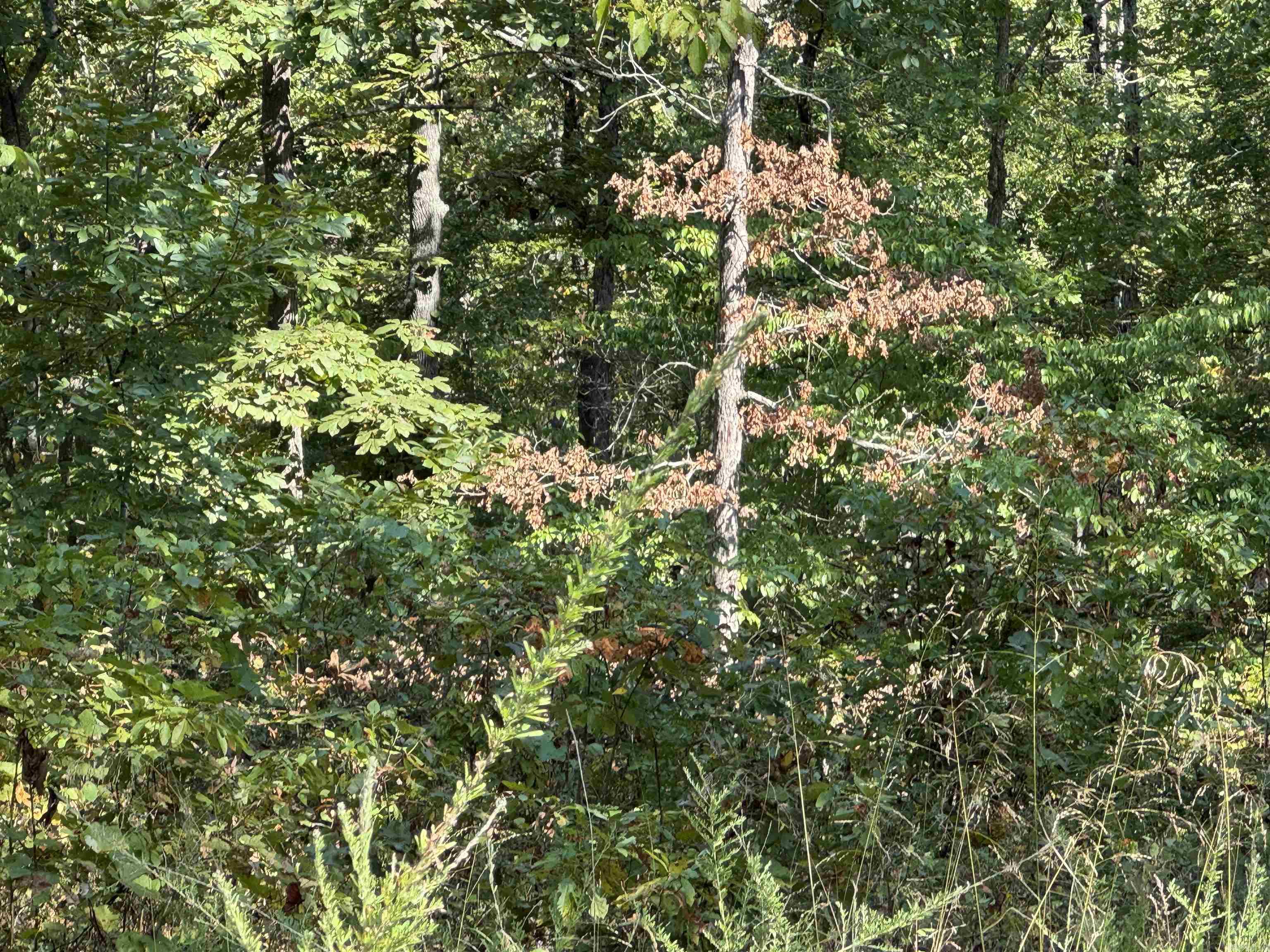 00 Mc 7031 Property Photo 8
