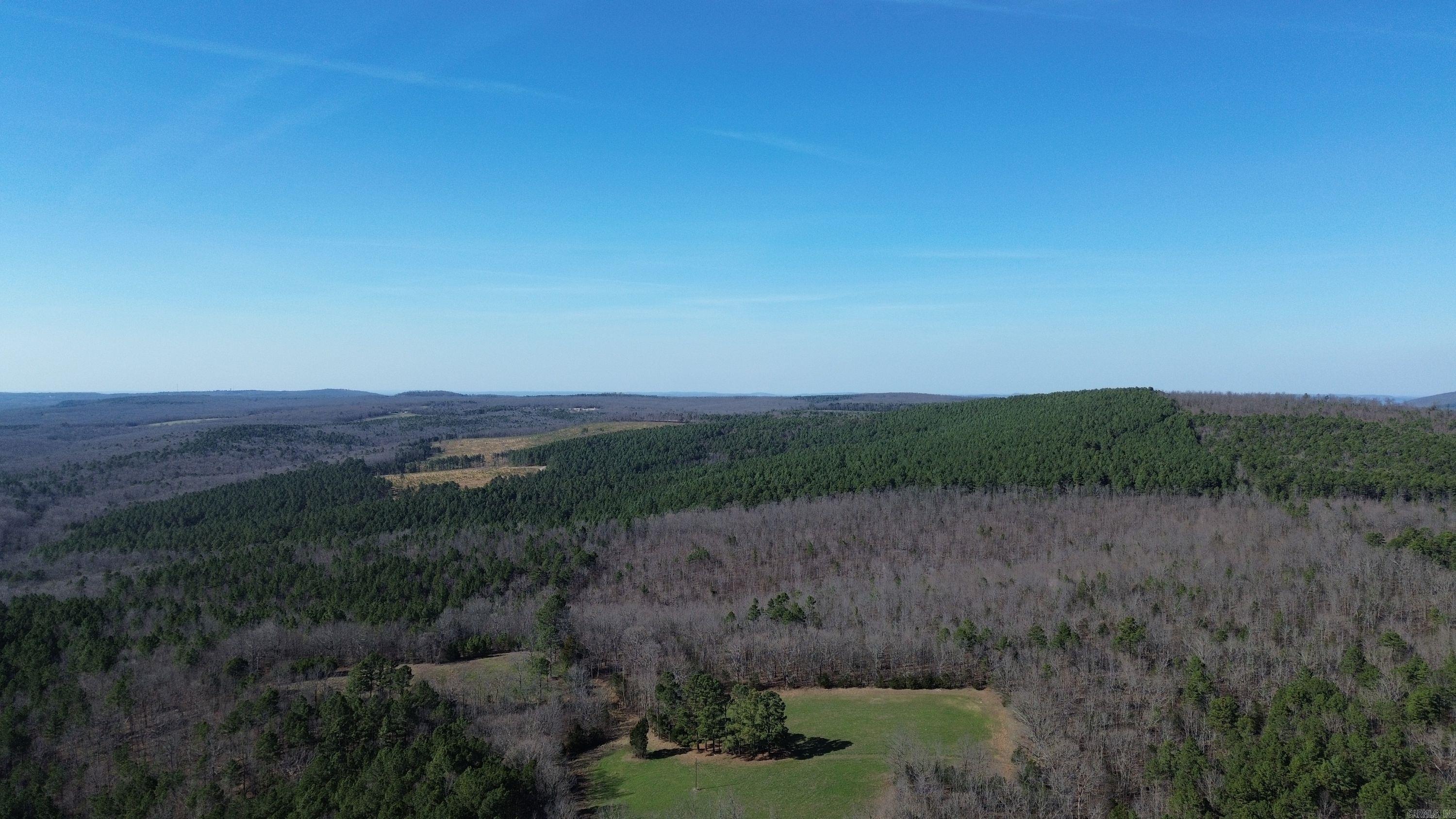 000 Dog Young