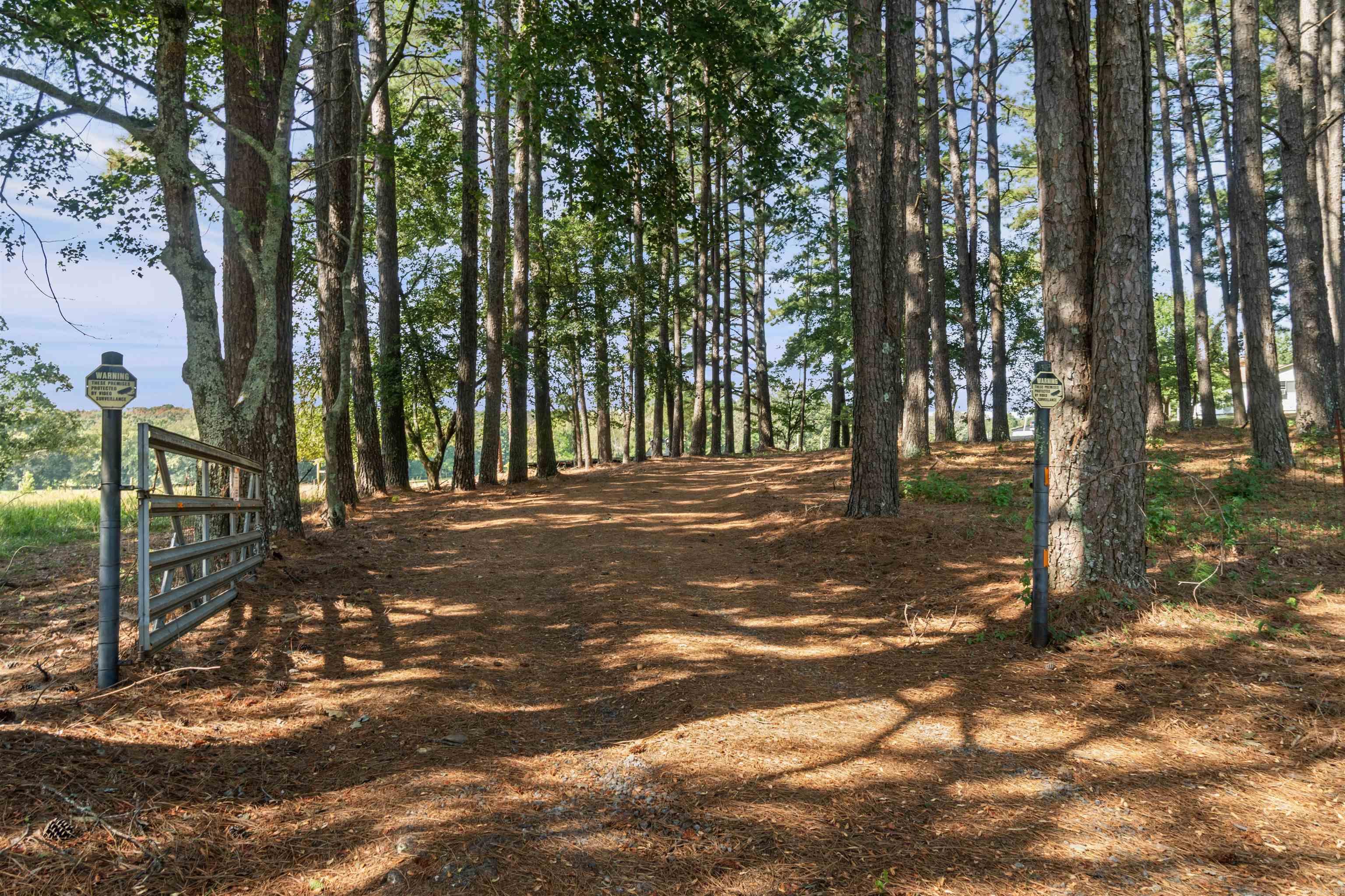 730 Hwy 258 Property Photo 1
