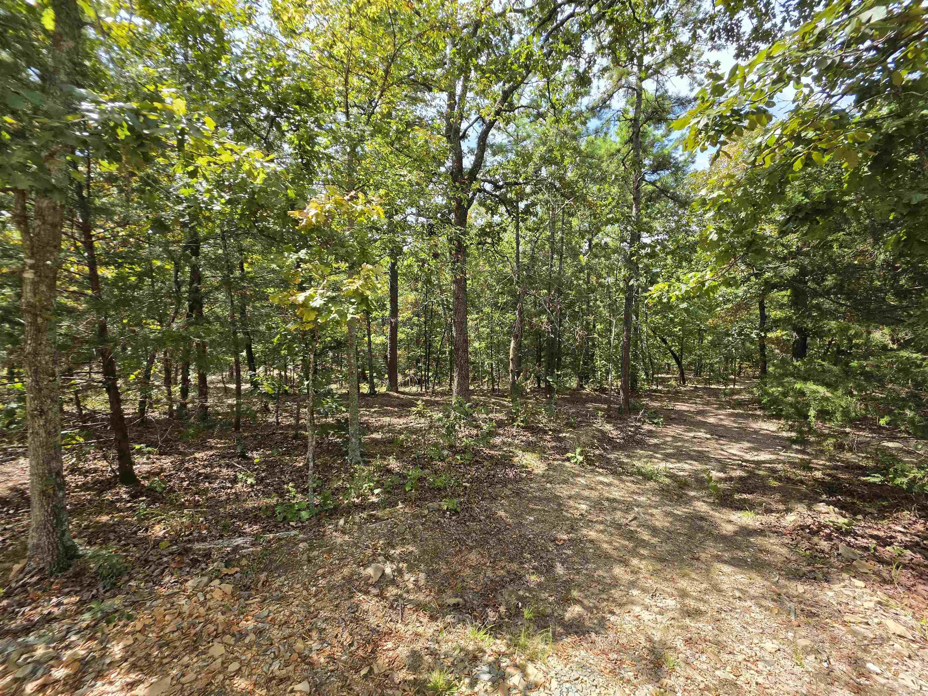114 Polk Road 62 Property Photo 5