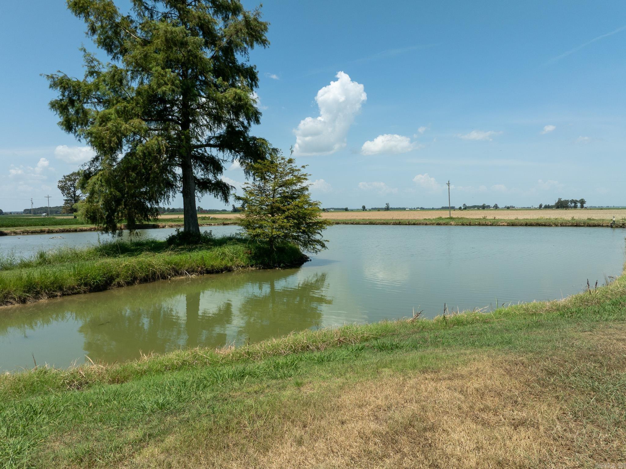 13380 Senteney Road Property Photo 28