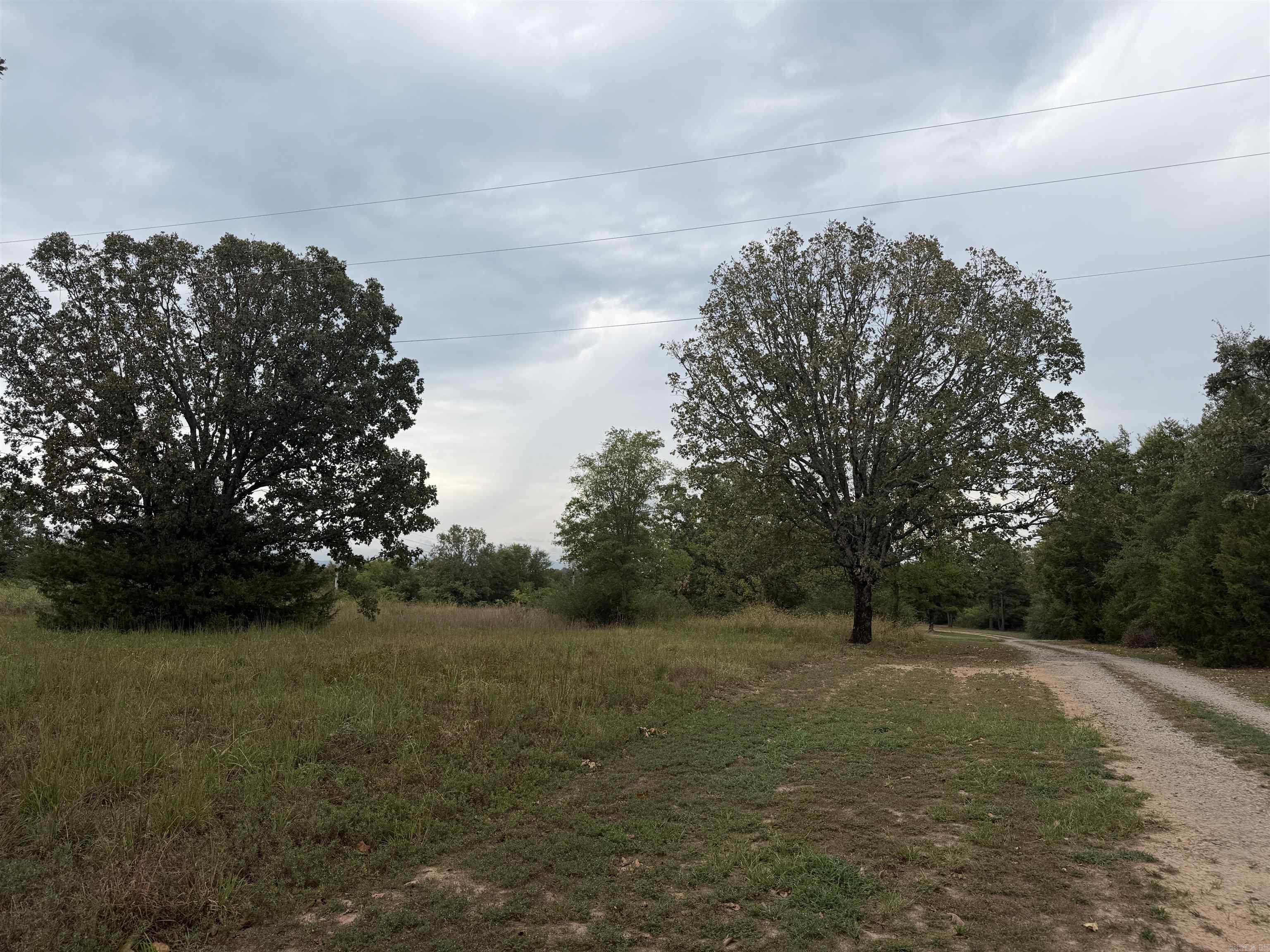 2426 Cataberry Run Rd Property Photo 2