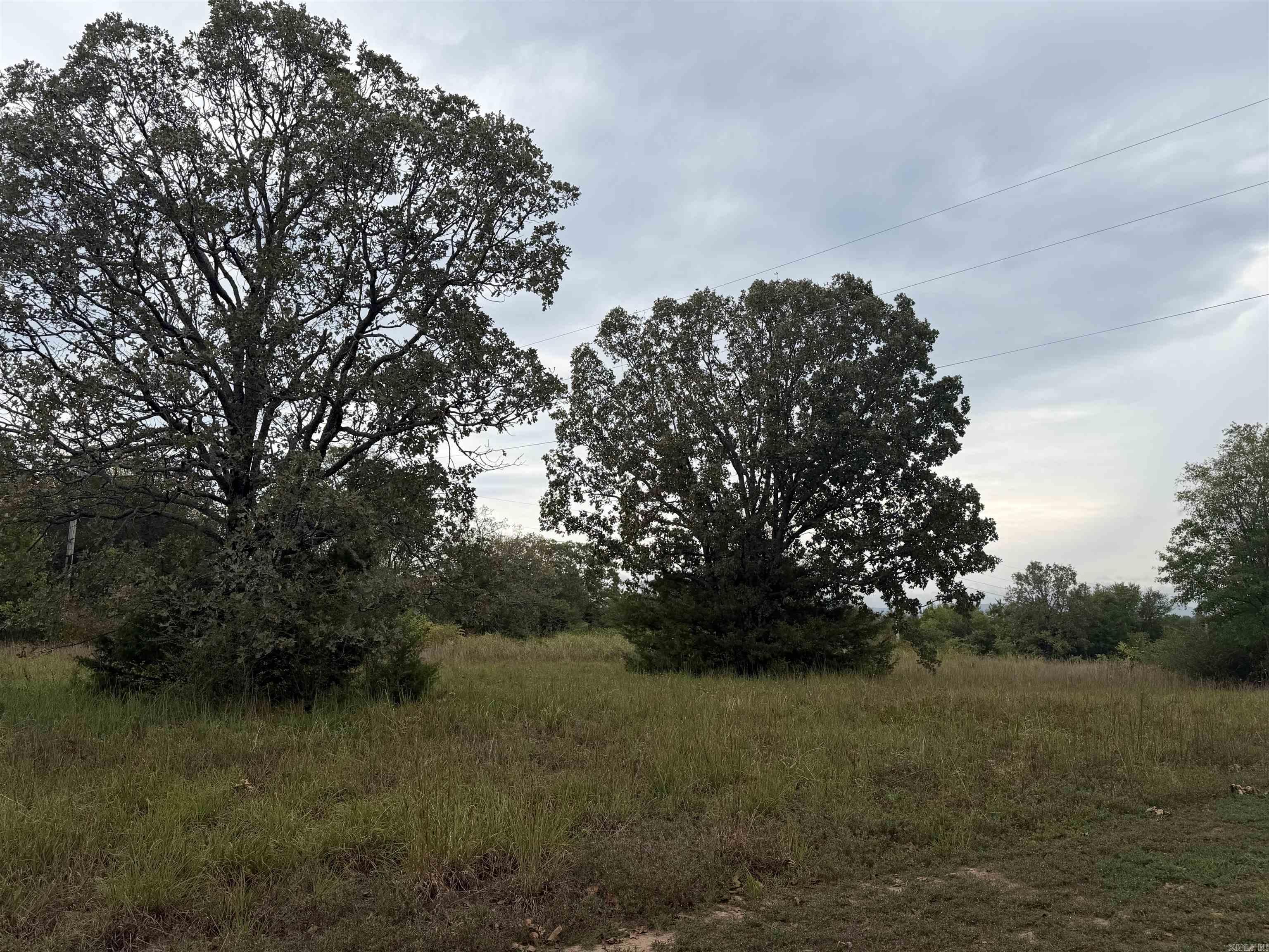 2426 Cataberry Run Rd Property Photo 3