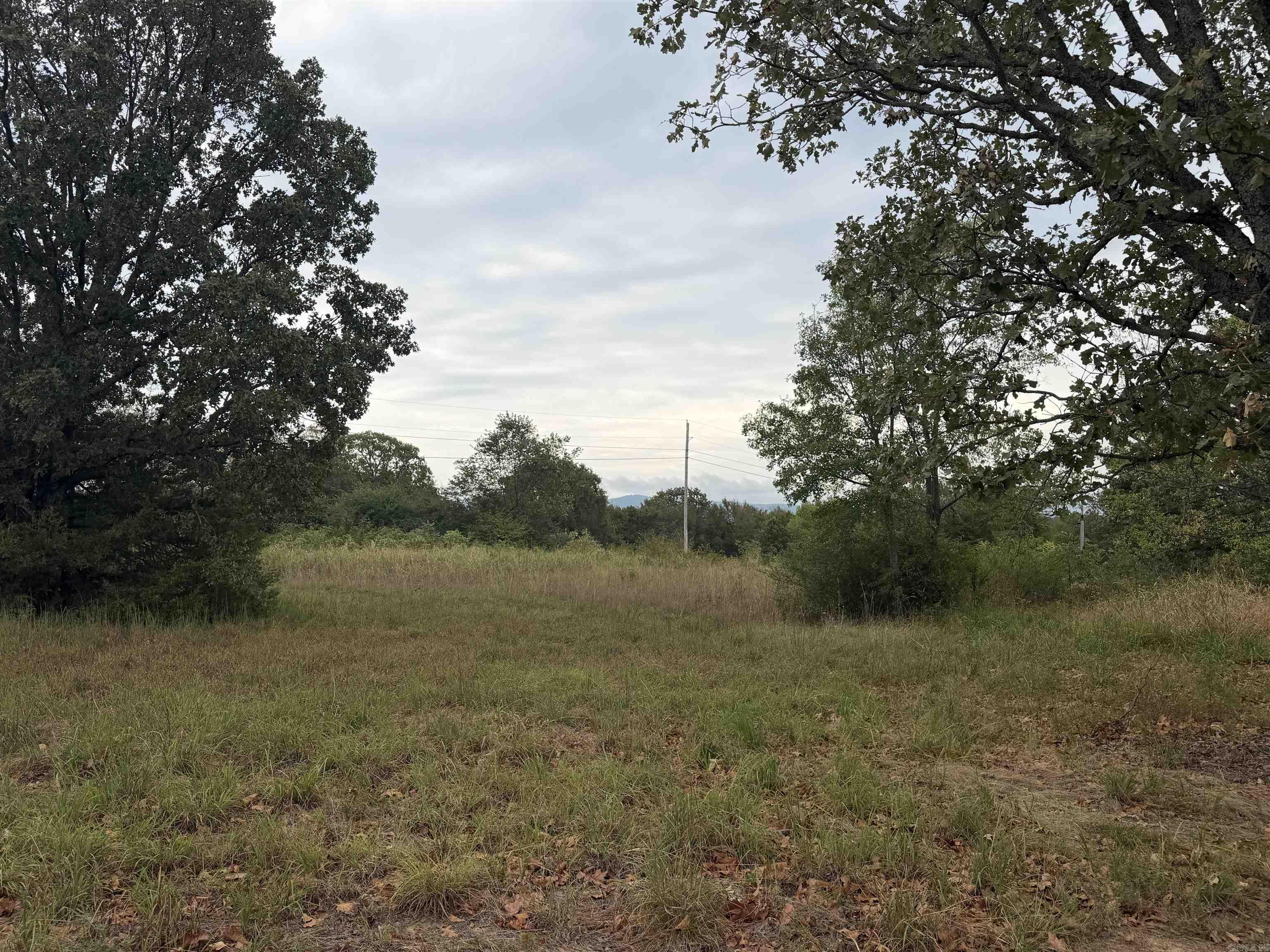 2426 Cataberry Run Rd Property Photo 4