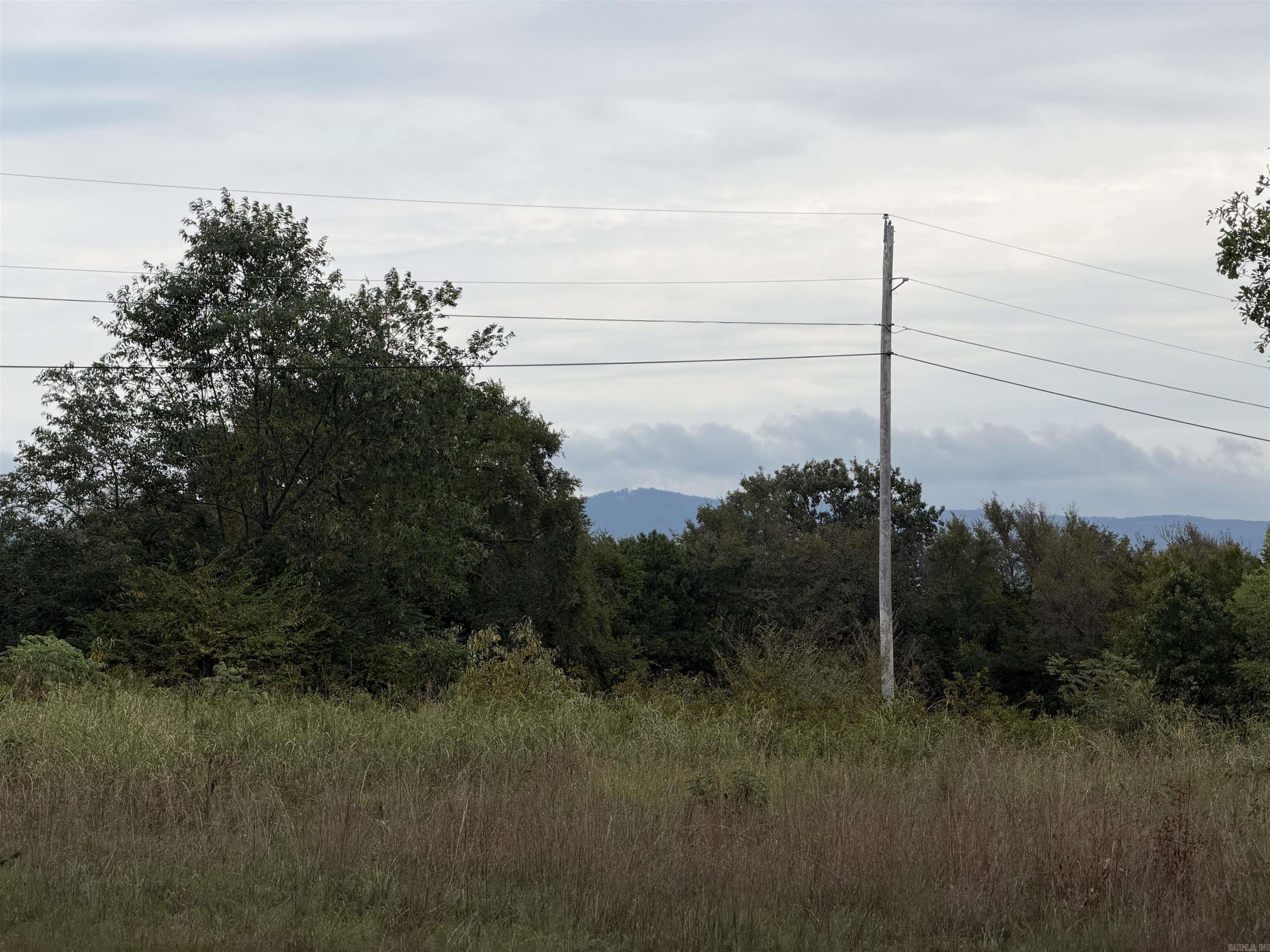 2426 Cataberry Run Rd Property Photo 11