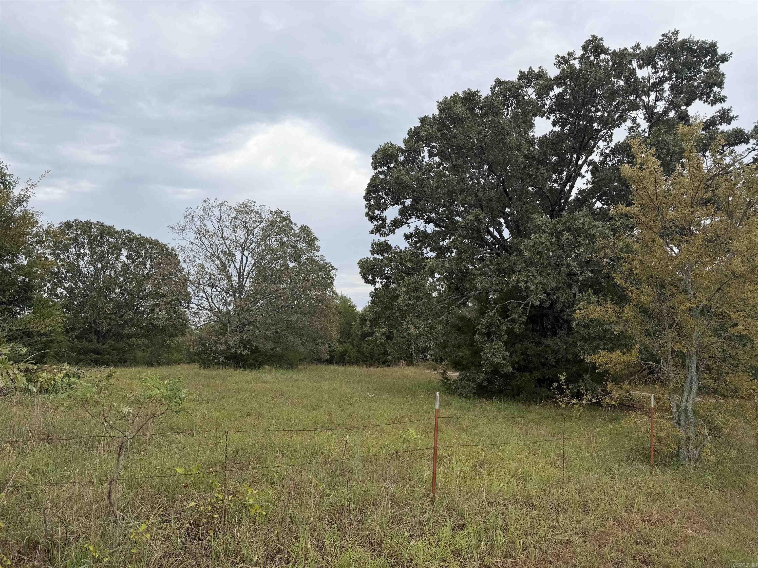 2426 Cataberry Run Rd Property Photo 12