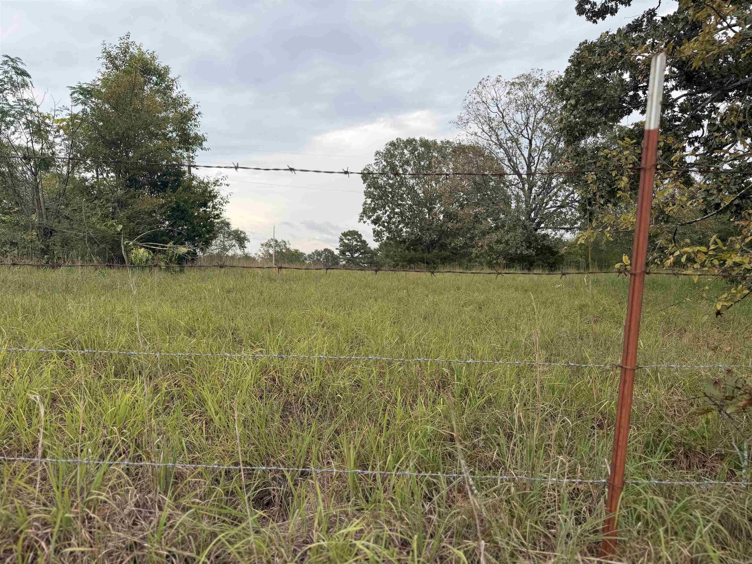 2426 Cataberry Run Rd Property Photo 13