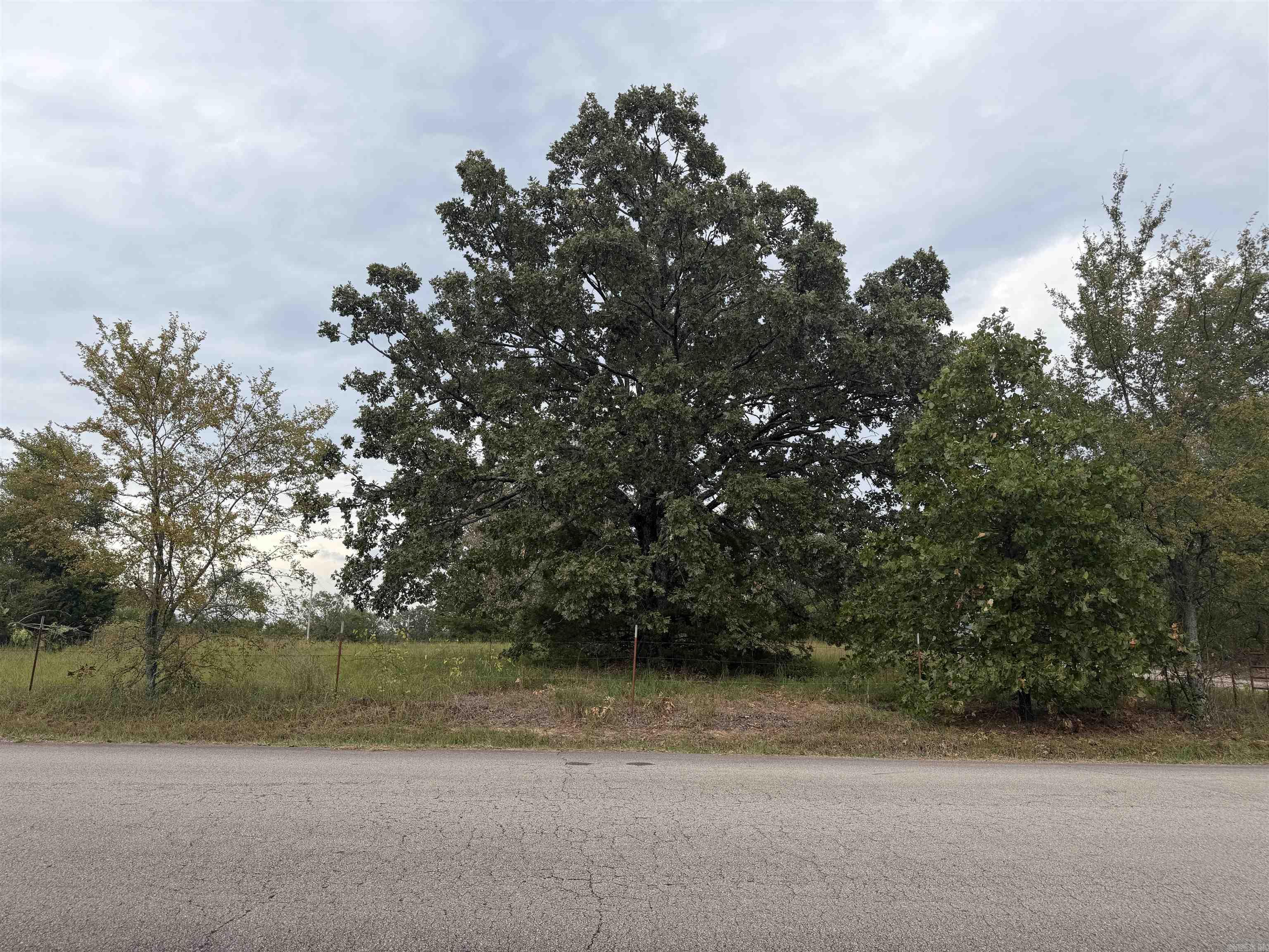 2426 Cataberry Run Rd Property Photo 14