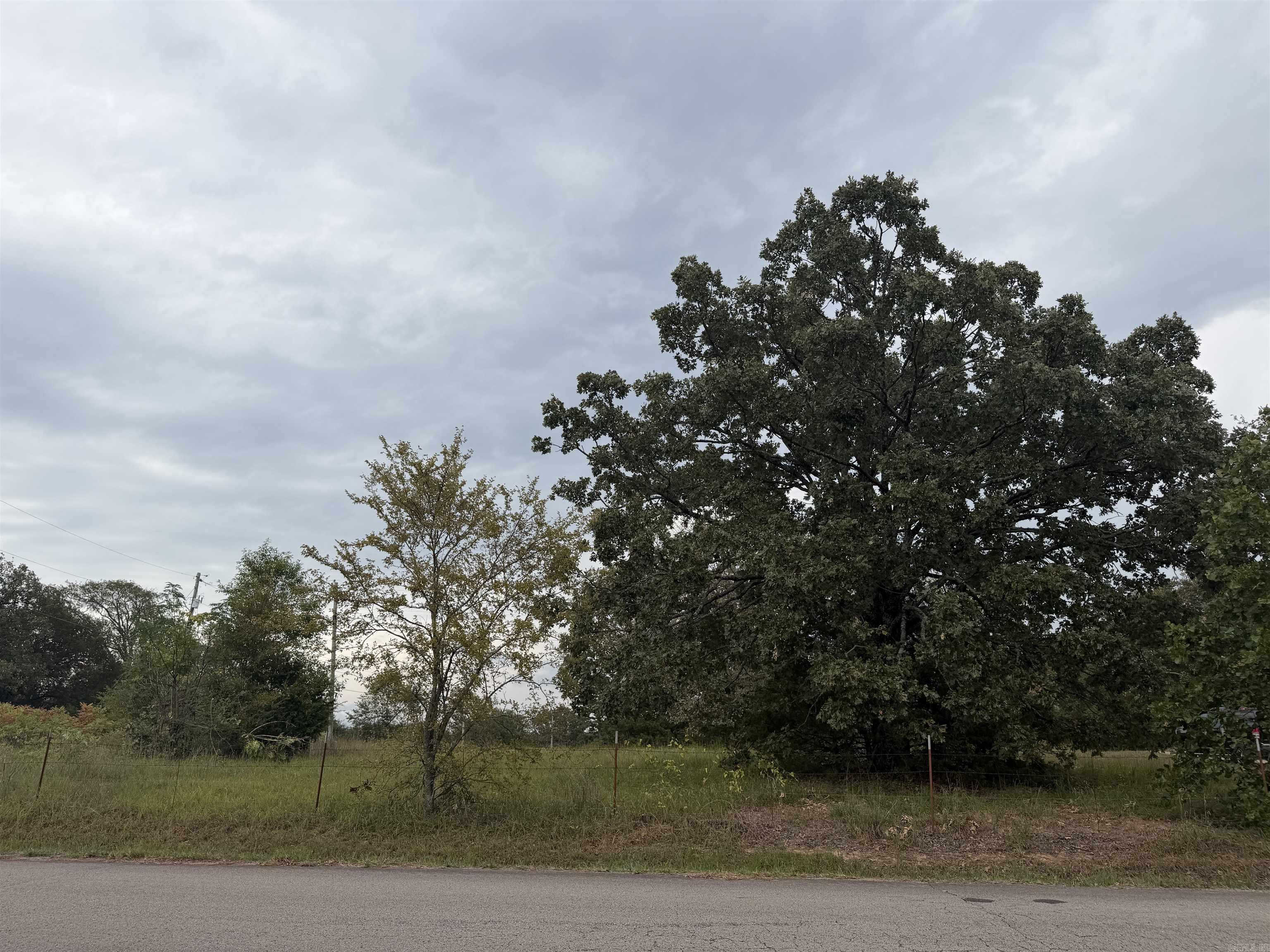 2426 Cataberry Run Rd Property Photo 17