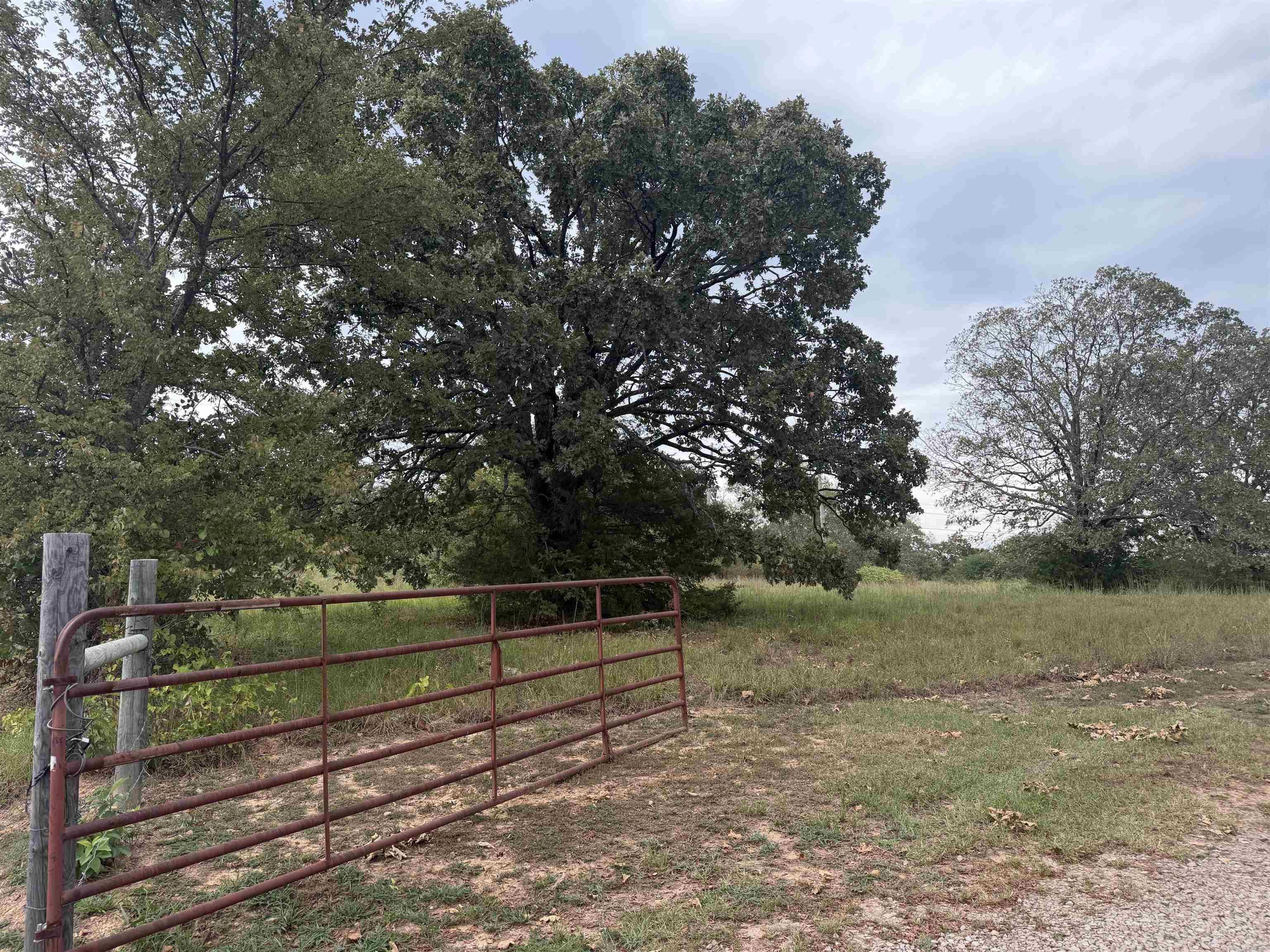 2426 Cataberry Run Rd Property Photo 18