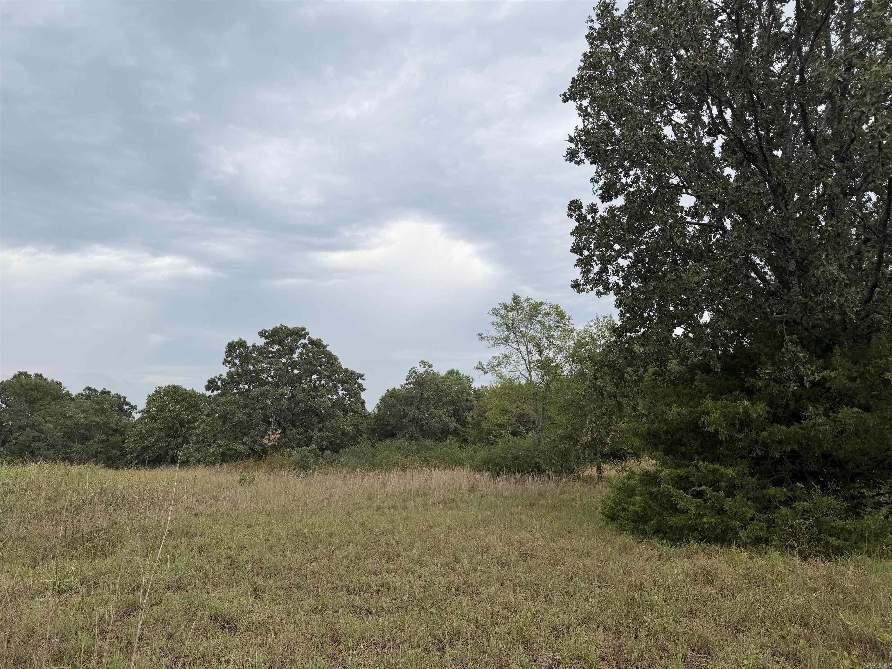 2426 Cataberry Run Rd Property Photo 19