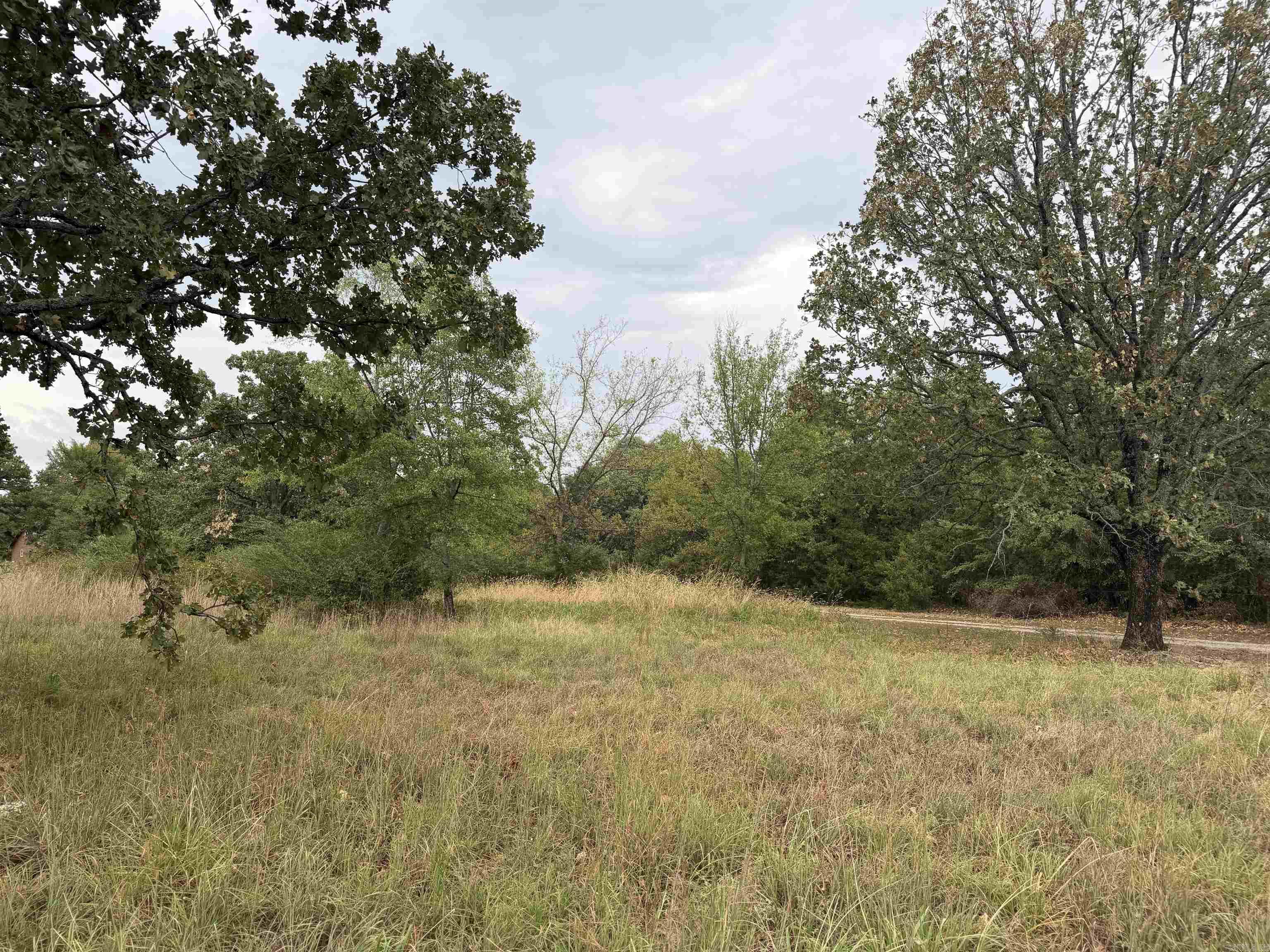 2426 Cataberry Run Rd Property Photo 21