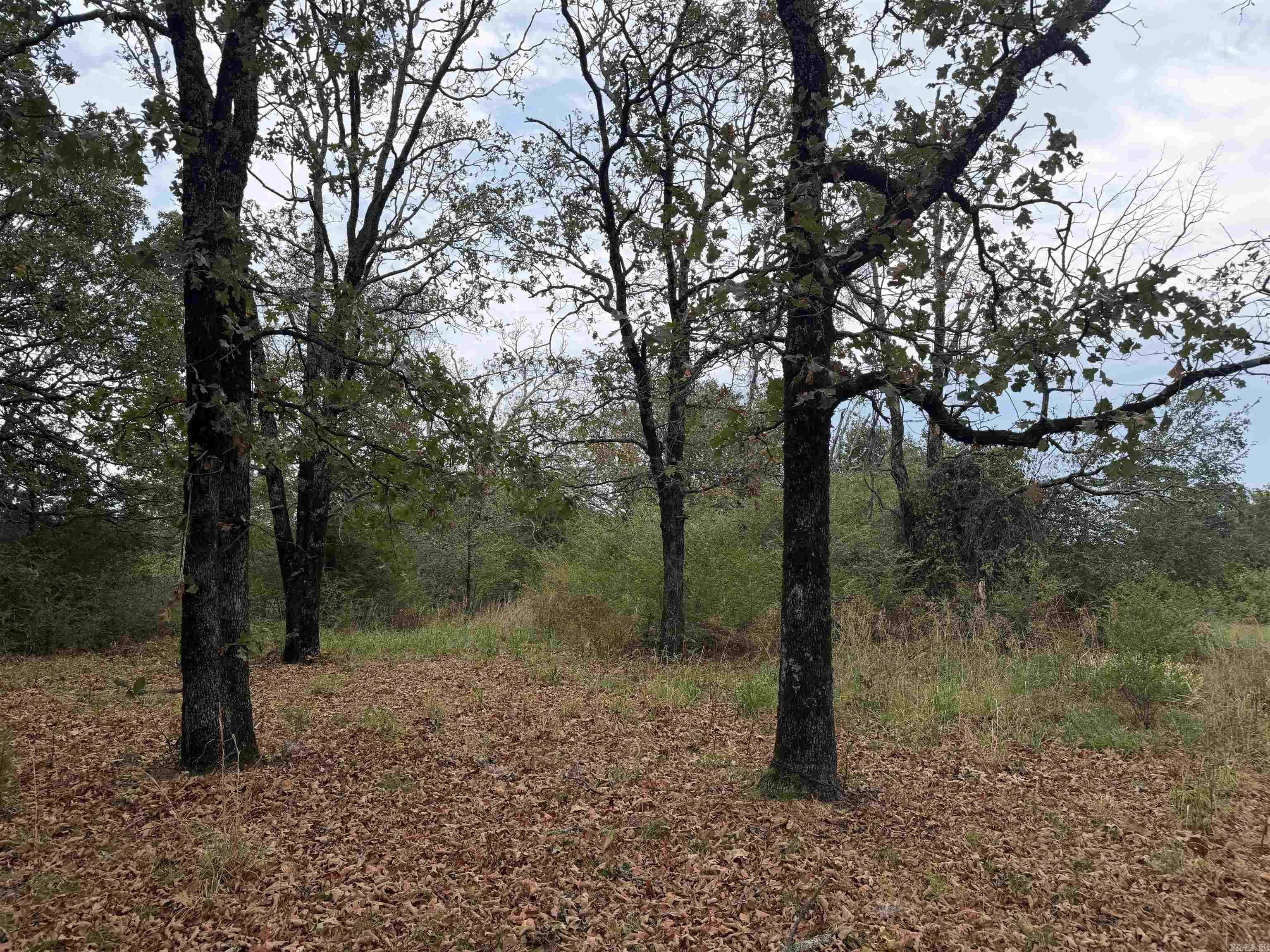 2426 Cataberry Run Rd Property Photo 29