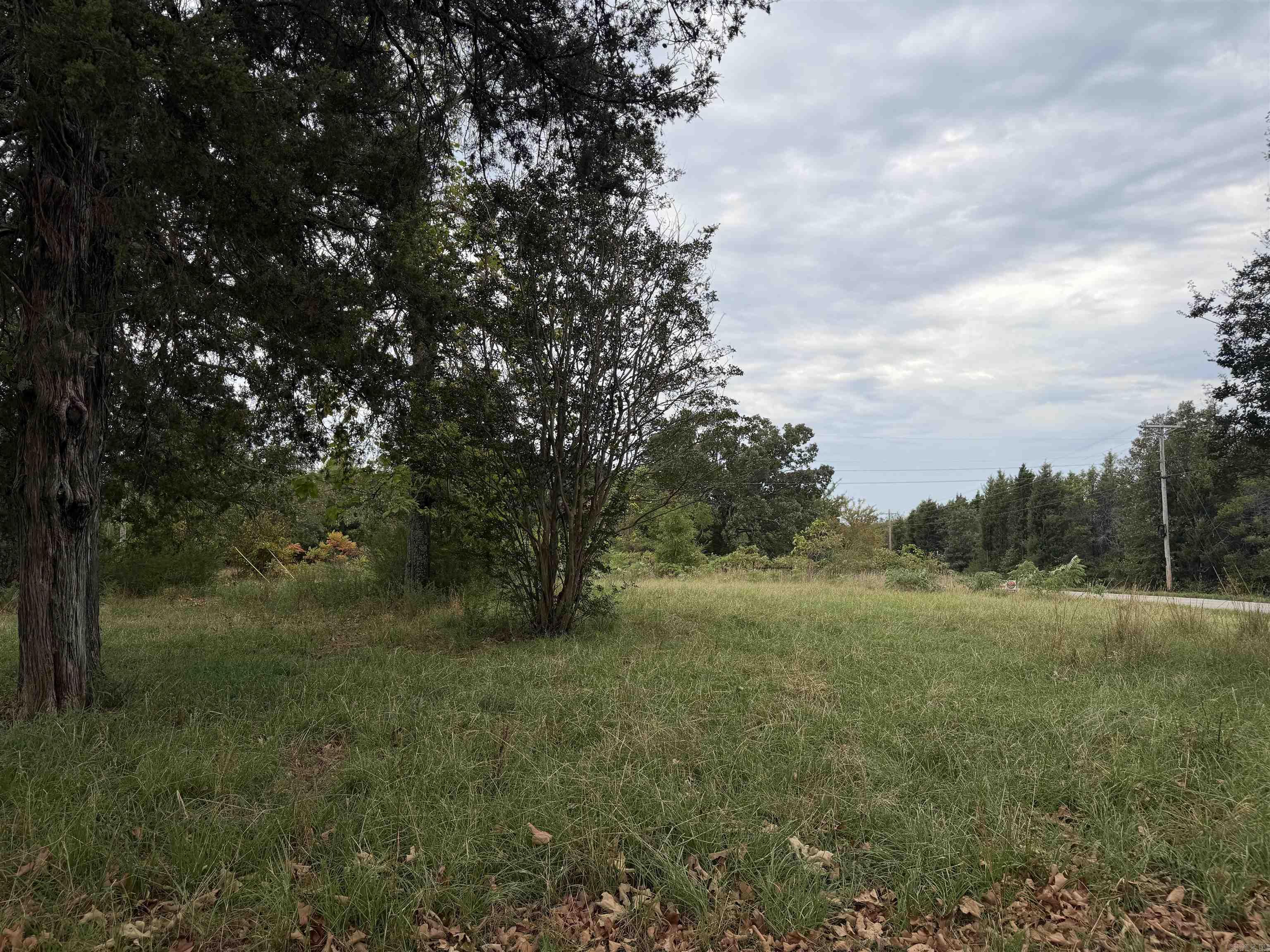 2426 Cataberry Run Rd Property Photo 33