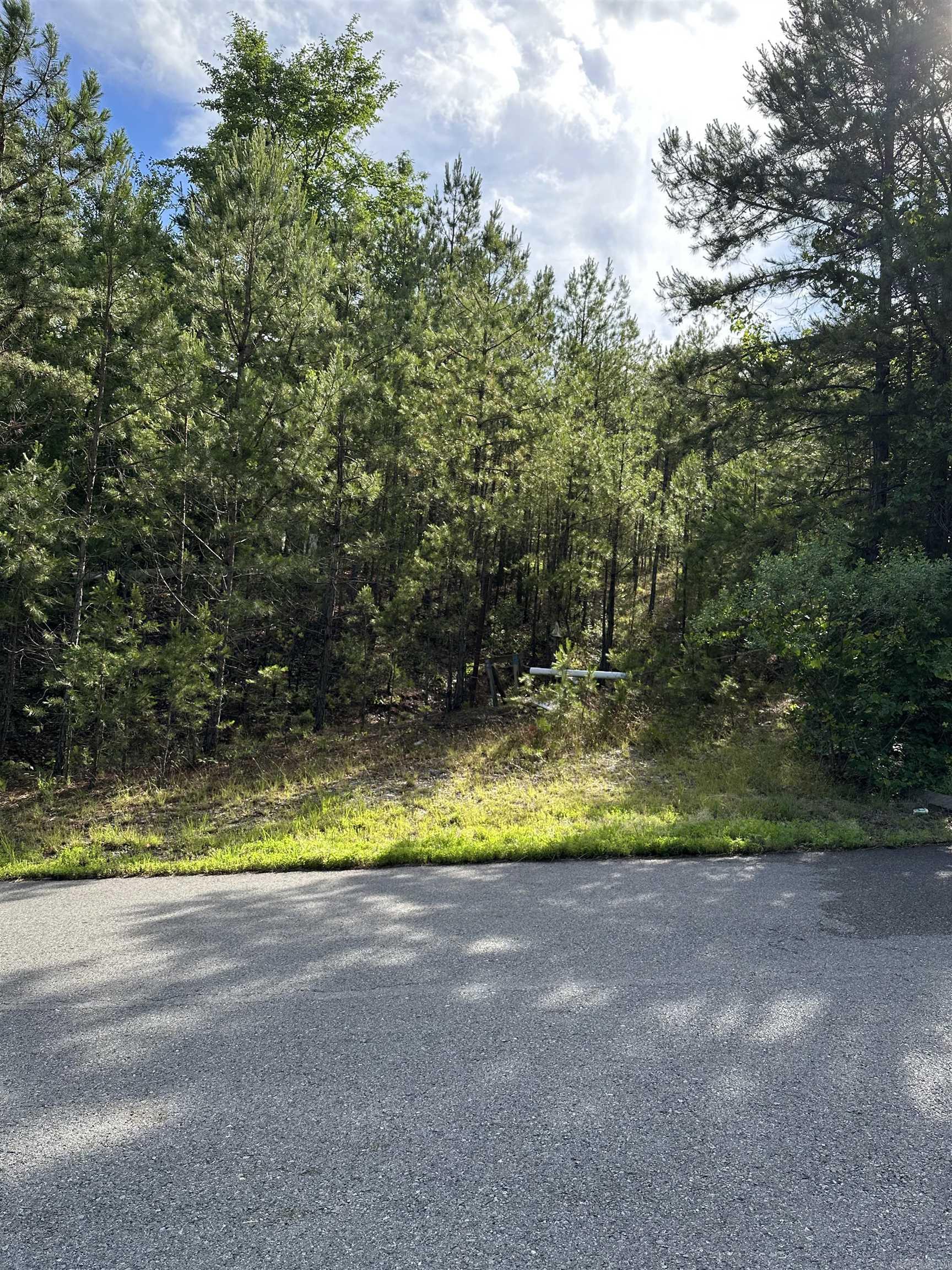 195 Peaceful Valley Road Property Photo 1