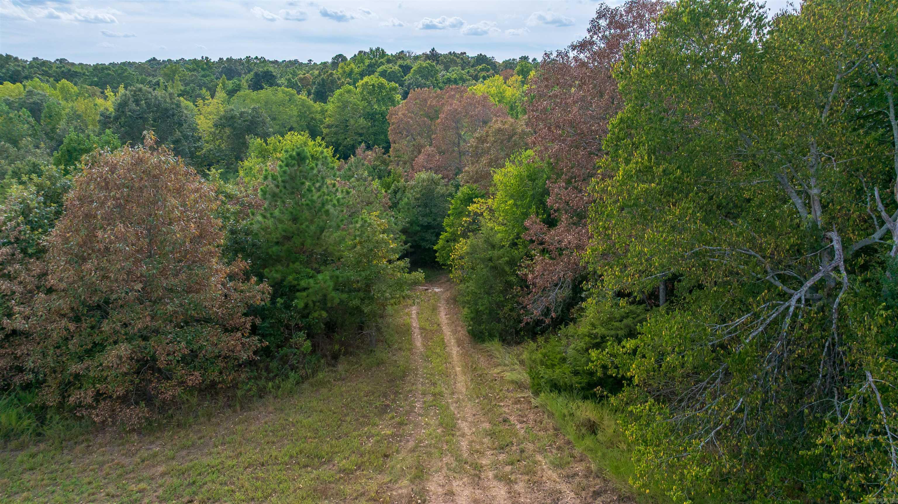 1393 Highway 167 Highway Property Photo 2