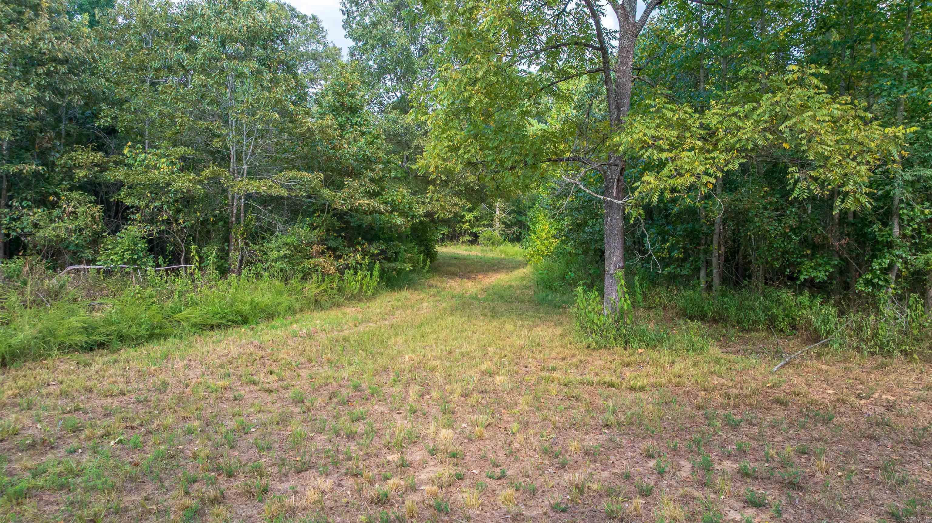 1393 Highway 167 Highway Property Photo 4