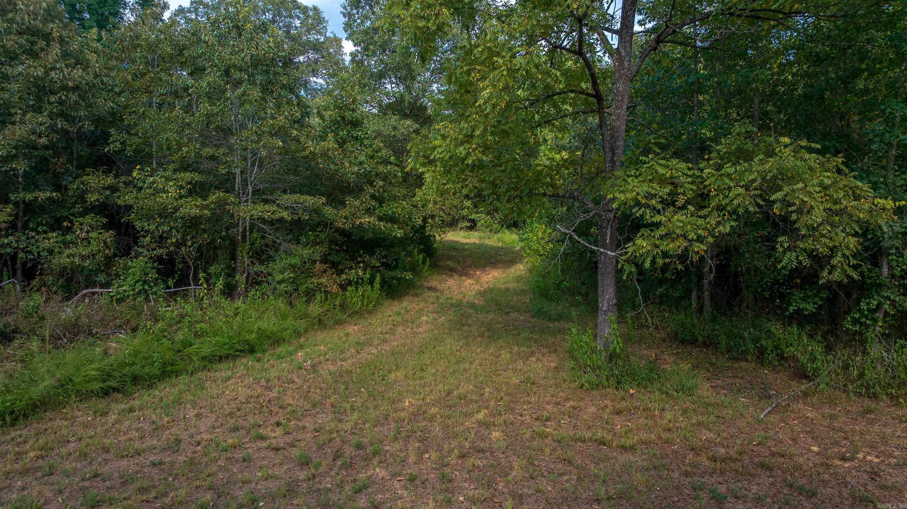 1393 Highway 167 Highway Property Photo 5