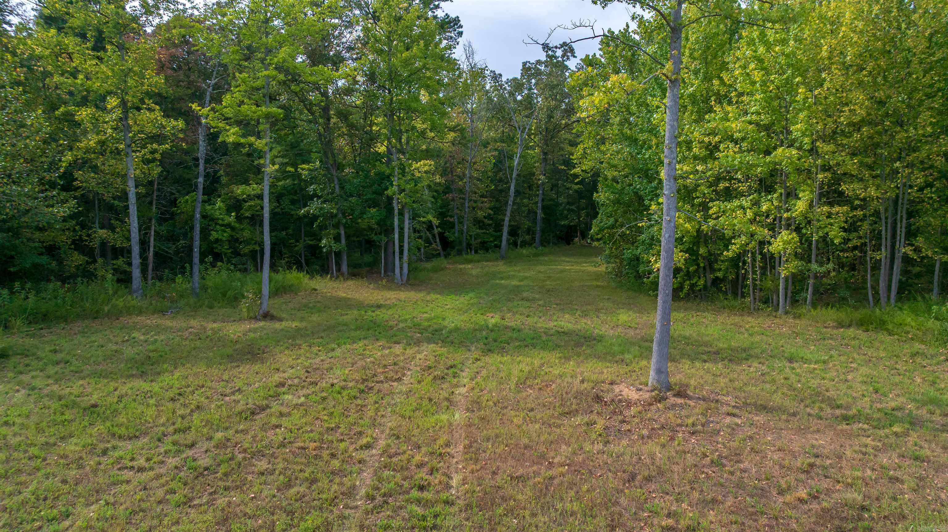 1393 Highway 167 Highway Property Photo 6