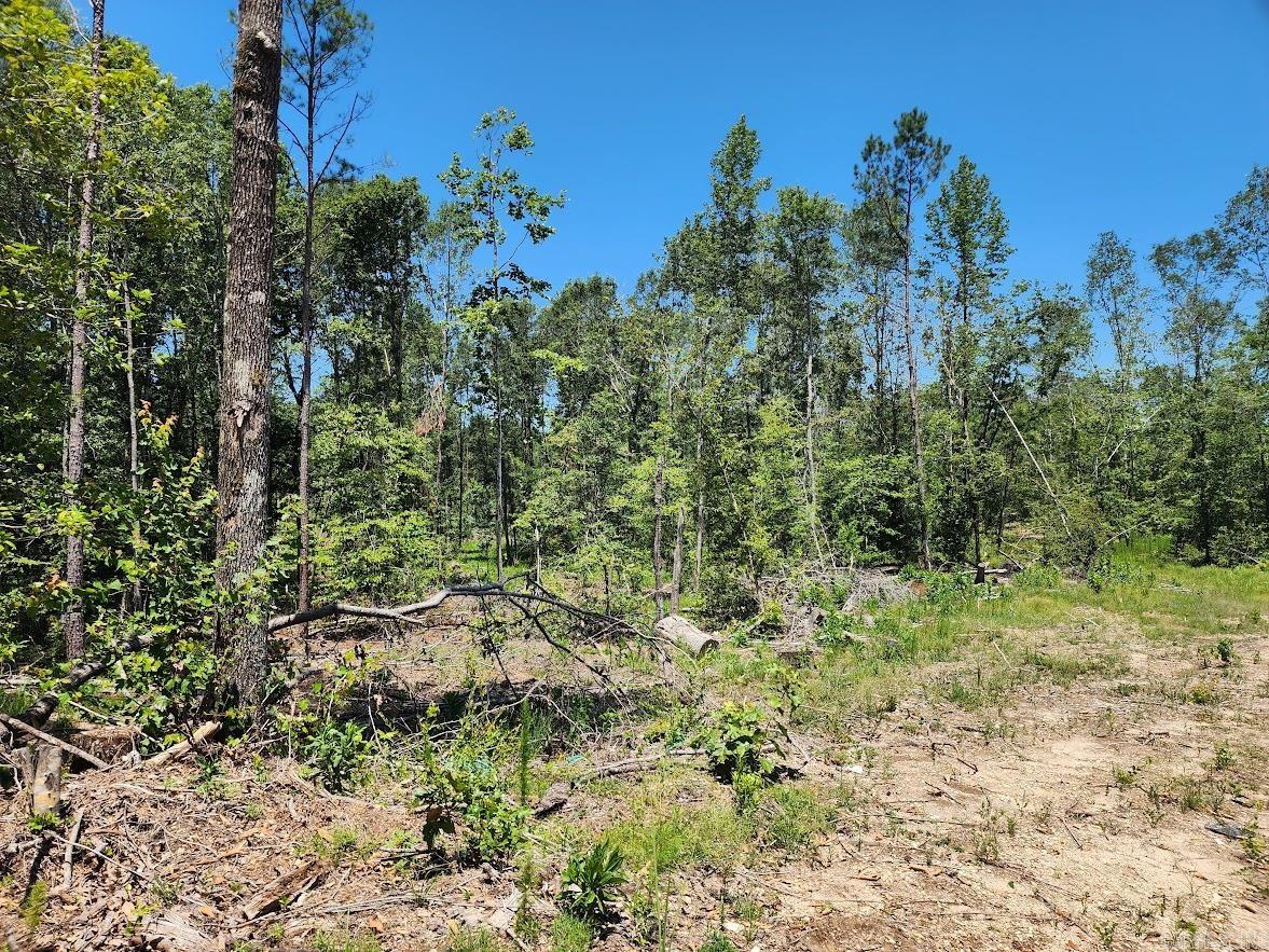 West 16.9 Acres On Hwy 82 E Property Photo 1