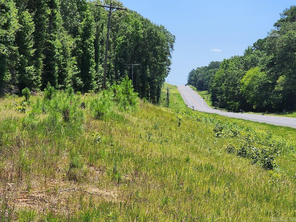 West 16.9 Acres On Hwy 82 E Property Photo 2