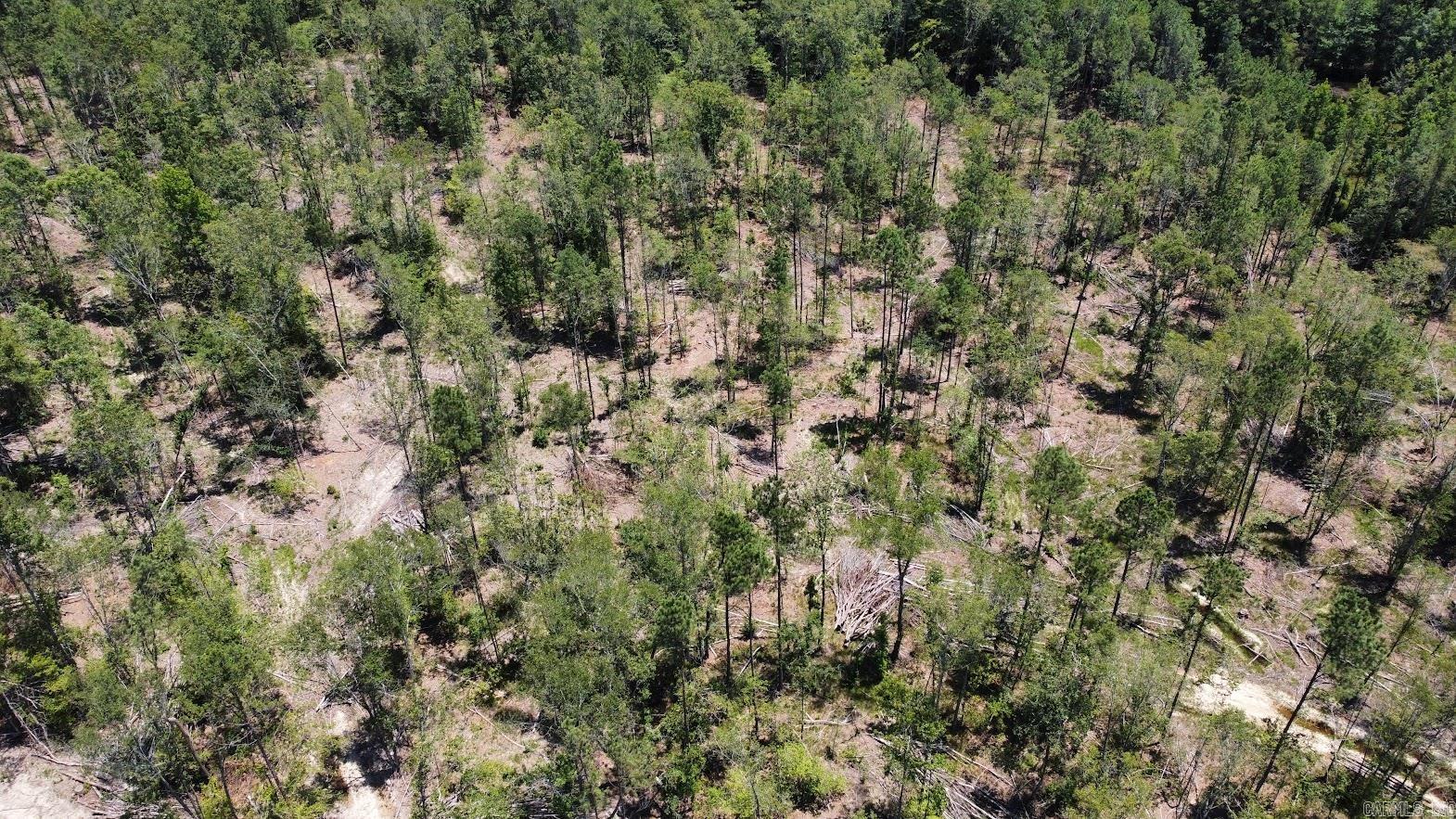 Center 16.9 Ac On Hwy 82 E Property Photo 3