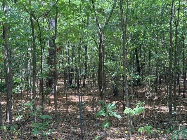 000 Mccurdy Road Property Photo 1
