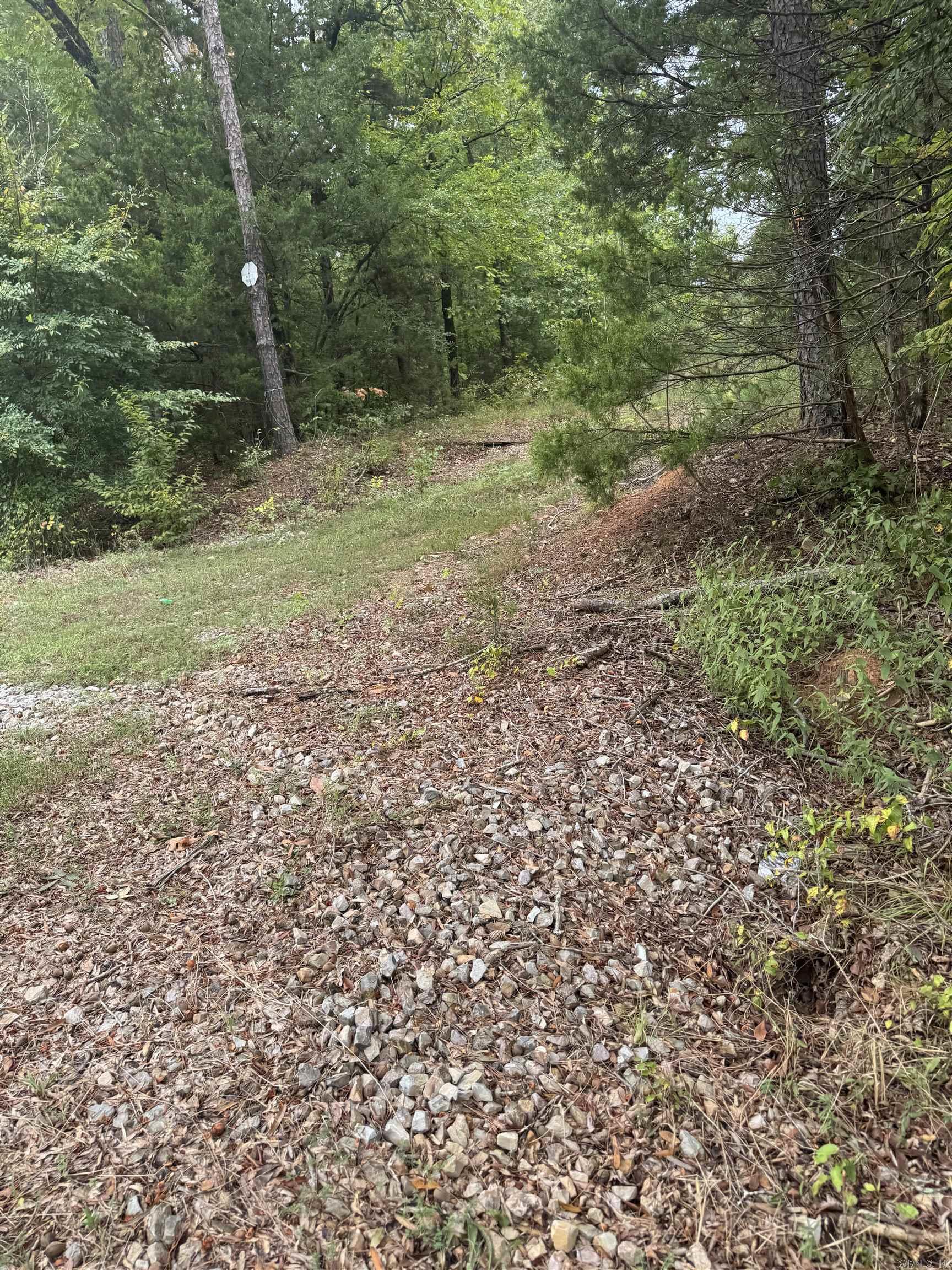 Brady Mountain Cutoff Property Photo 1