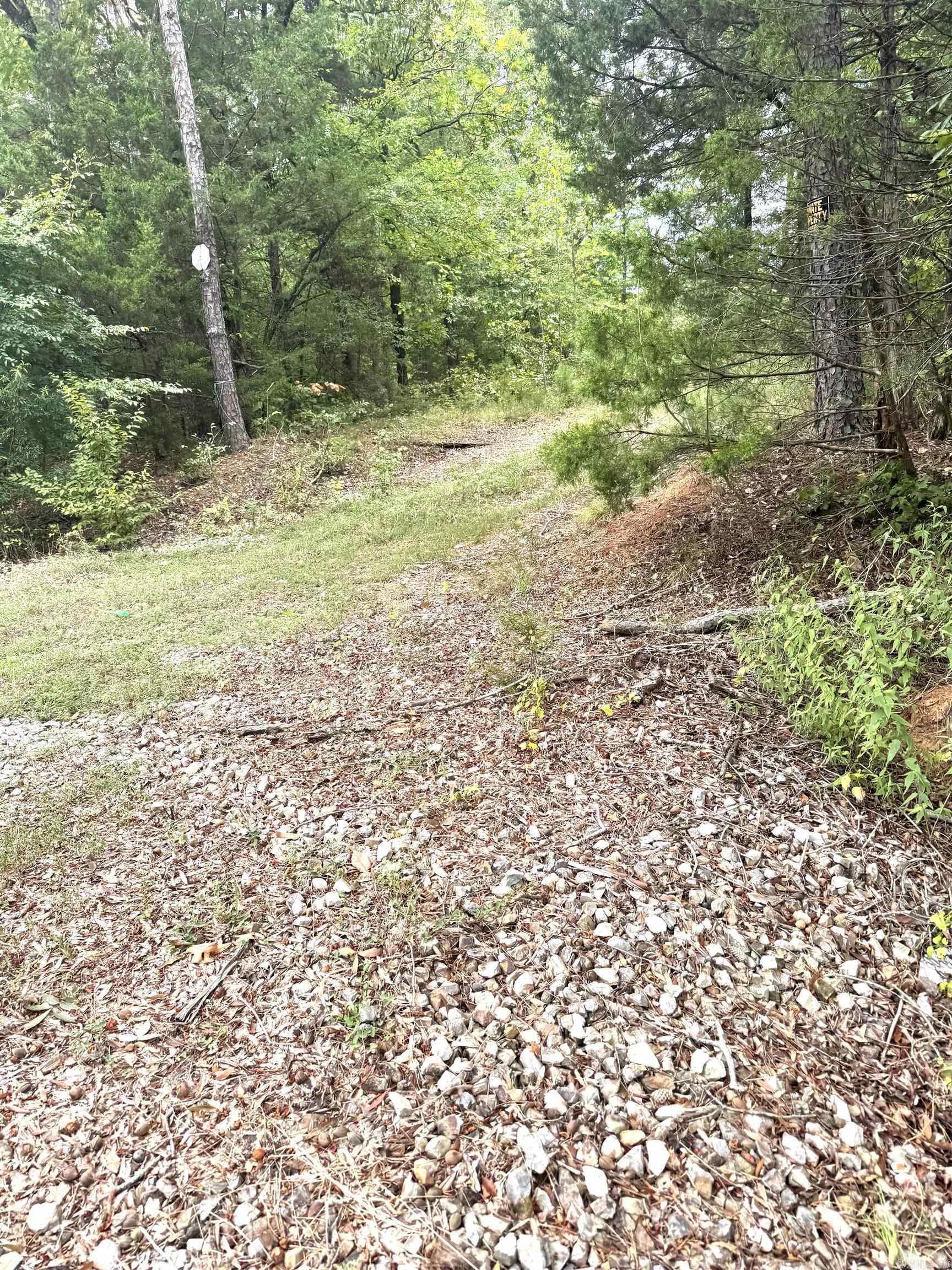 Brady Mountain Cutoff Property Photo 2