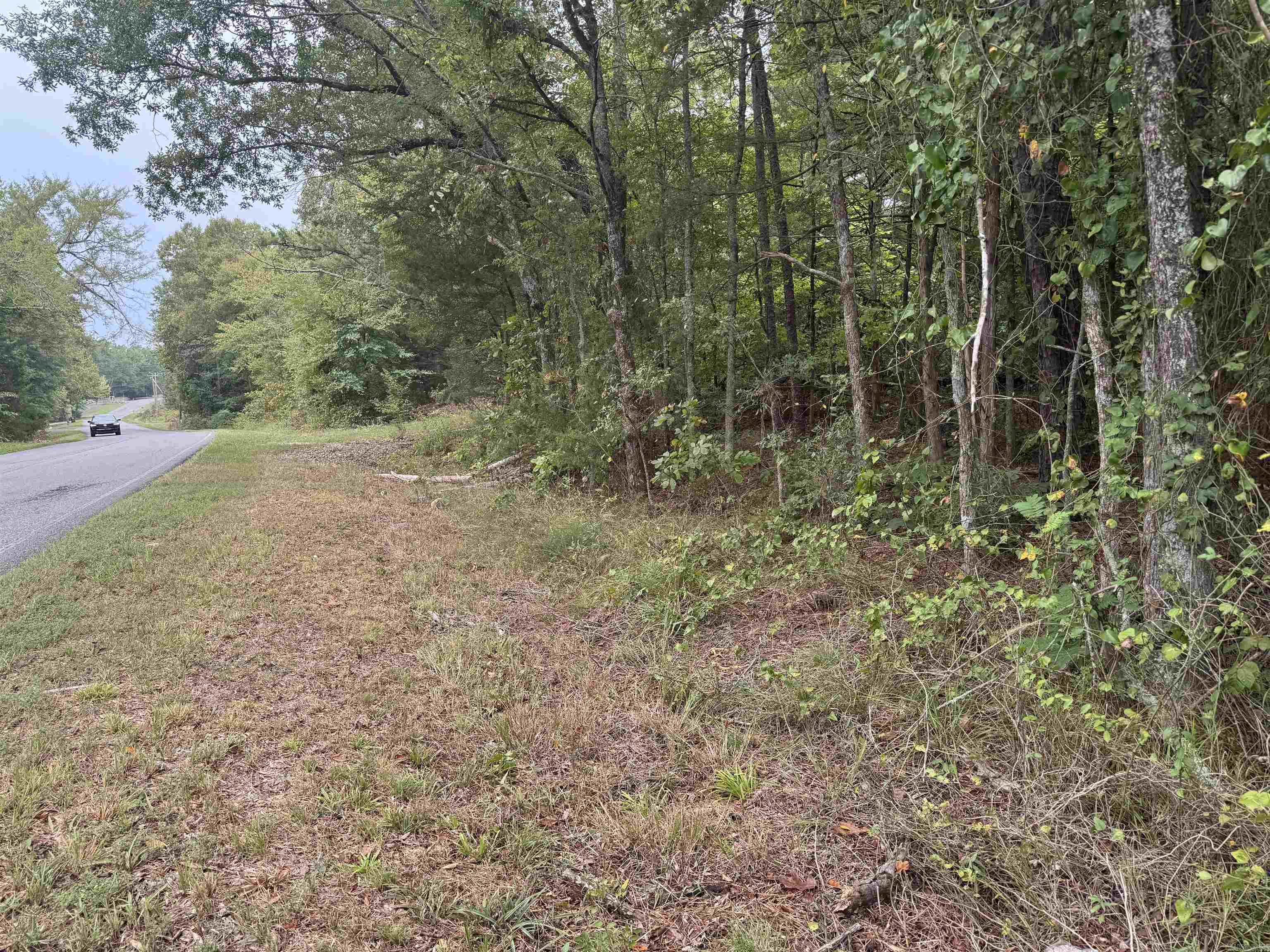 Brady Mountain Cutoff Property Photo 3