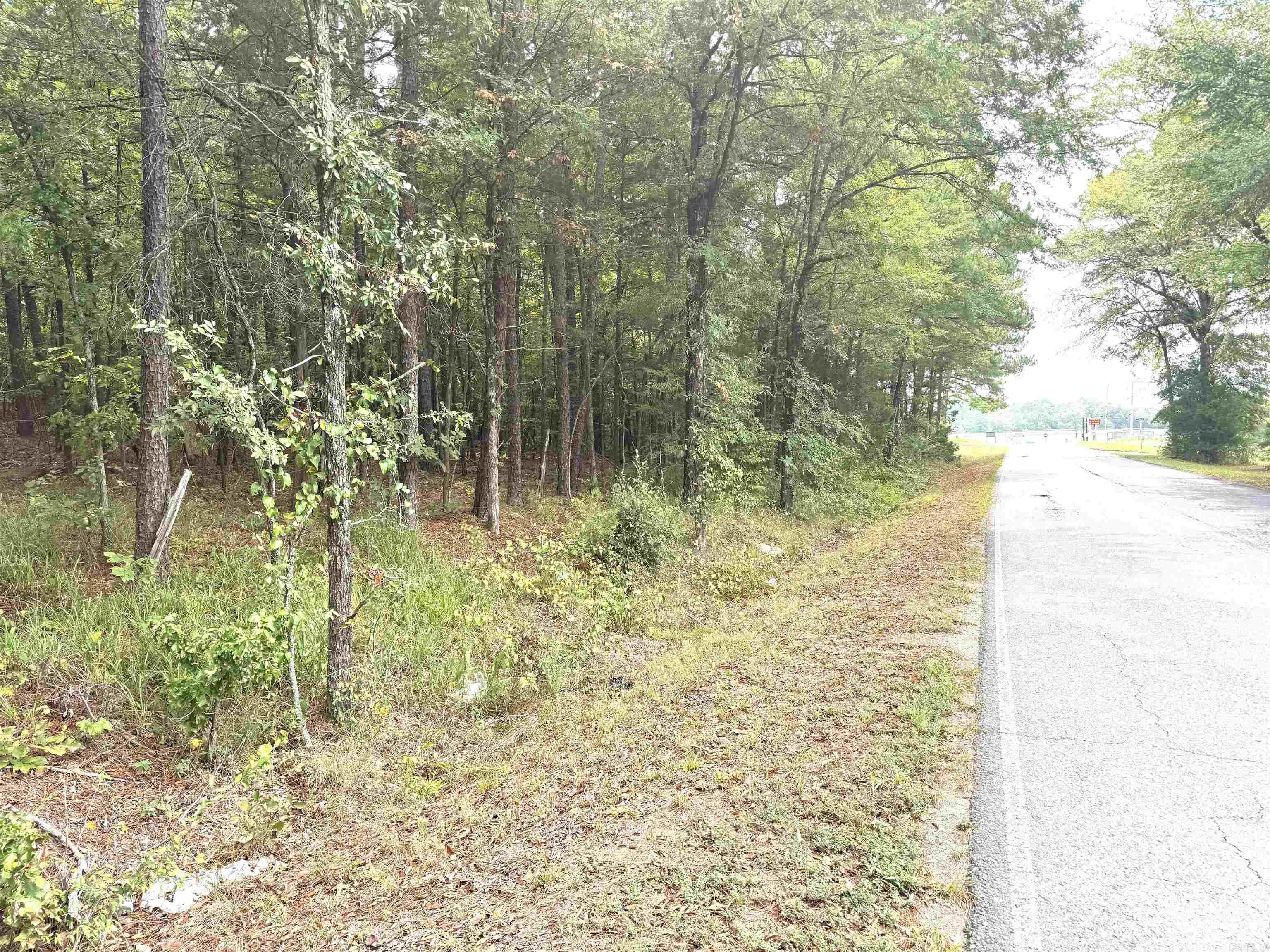 Brady Mountain Cutoff Property Photo 5