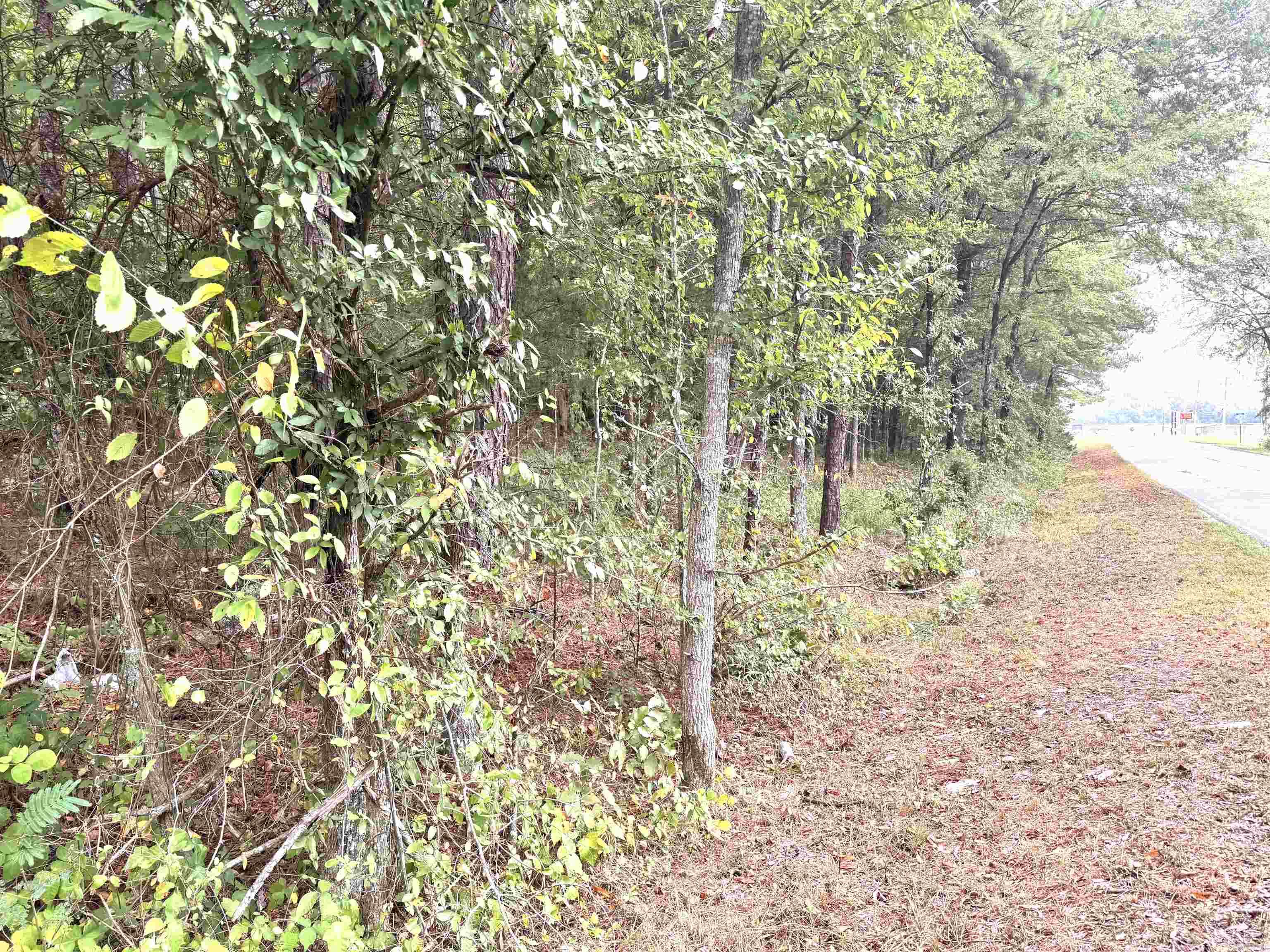 Brady Mountain Cutoff Property Photo 6