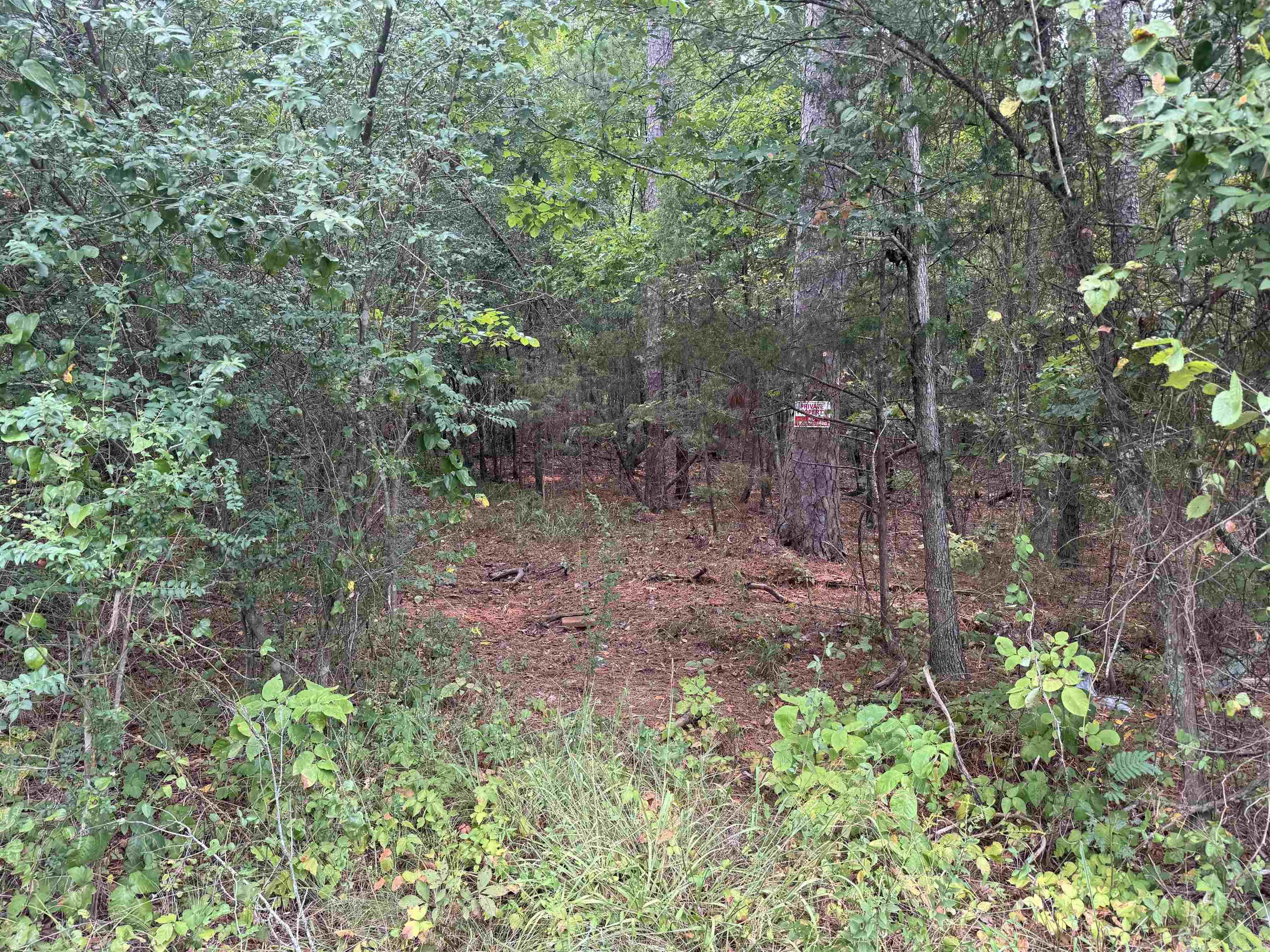 Brady Mountain Cutoff Property Photo 7