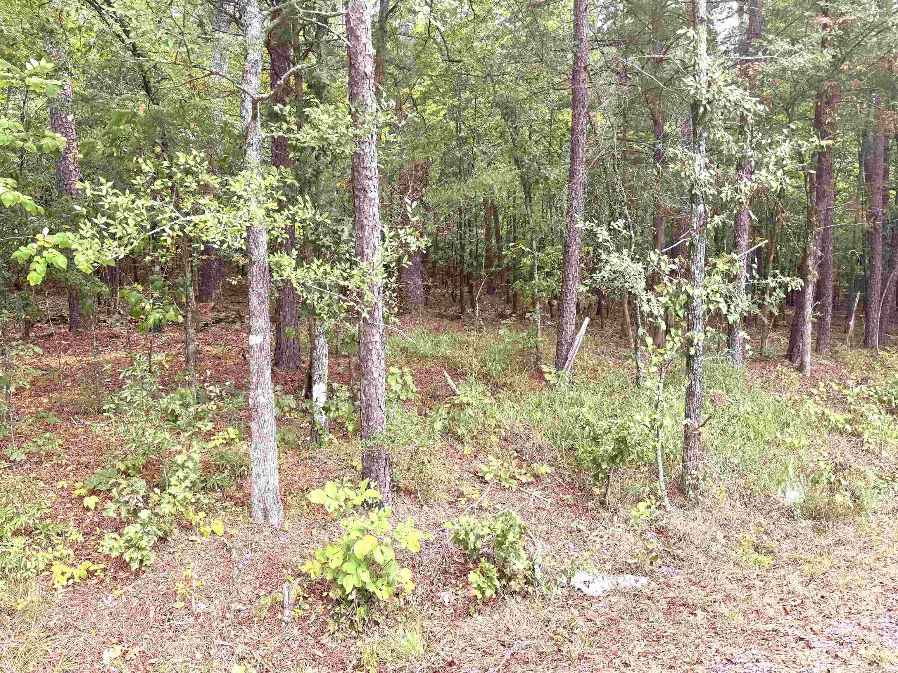 Brady Mountain Cutoff Property Photo 9