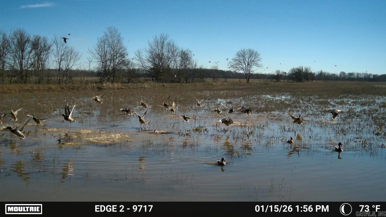 000 Ferda Rd. Property Photo 21