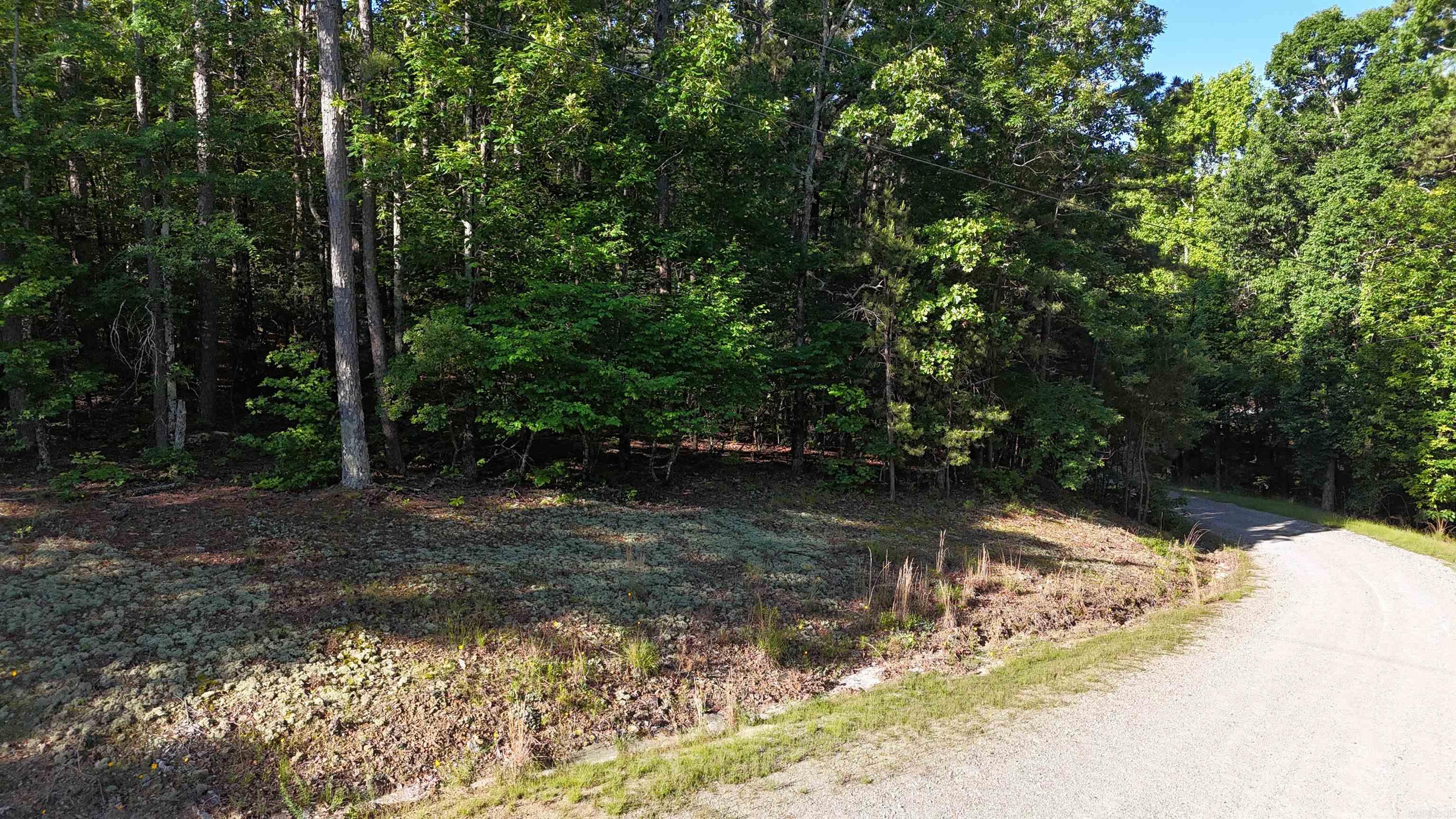 000 Possum Run Road Property Photo 18