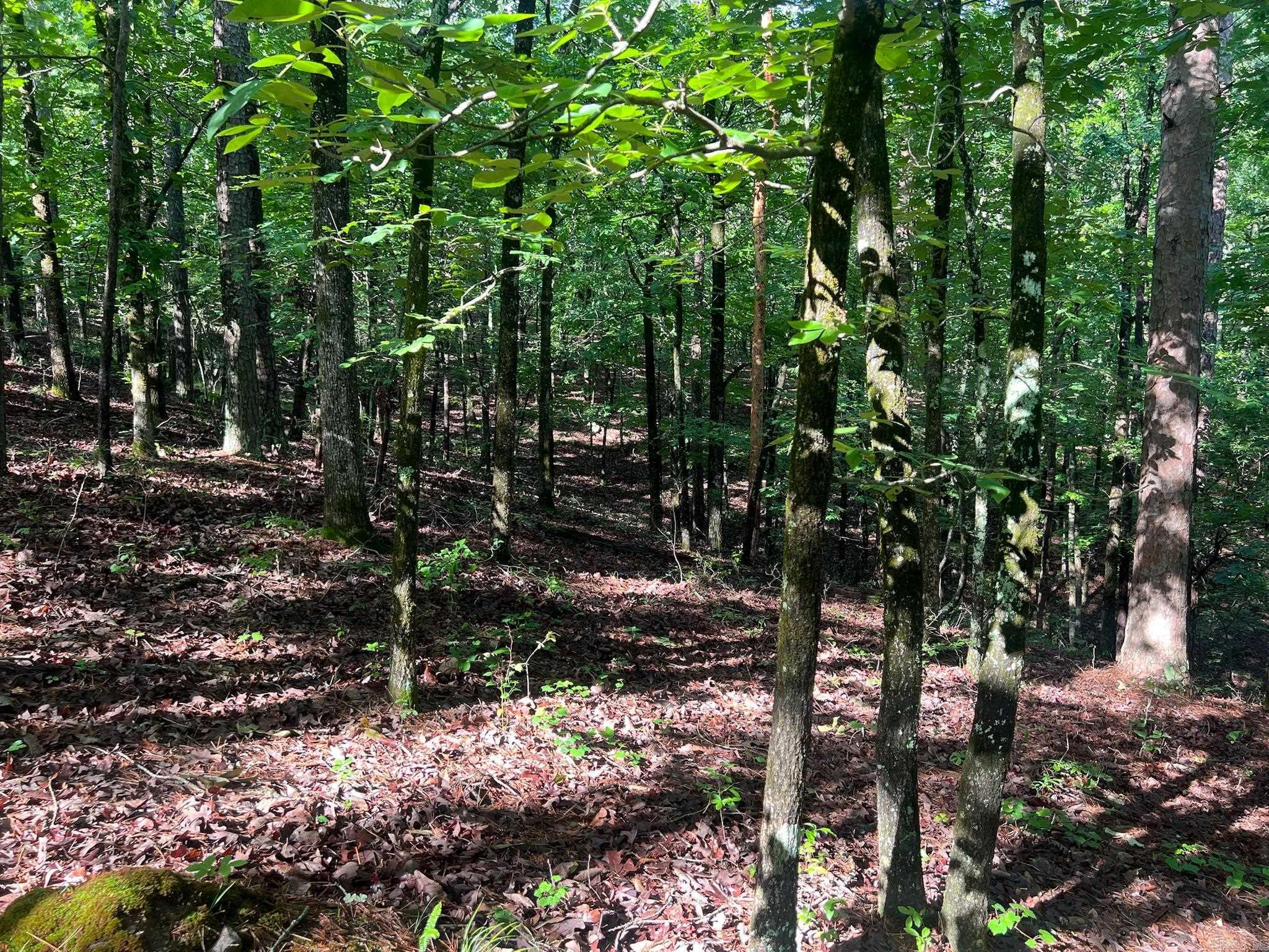 000 Possum Run Road Property Photo 30
