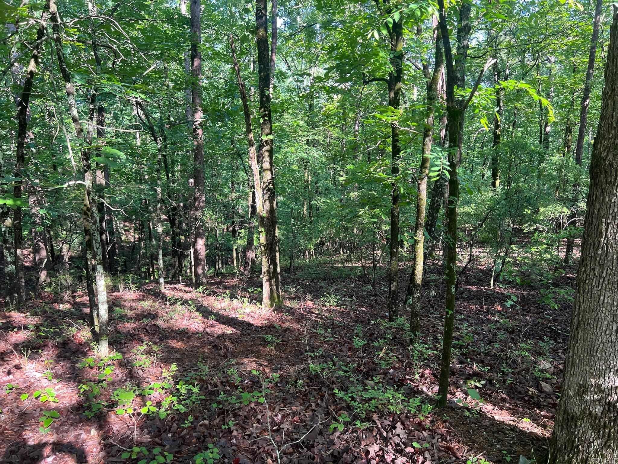 000 Possum Run Road Property Photo 31