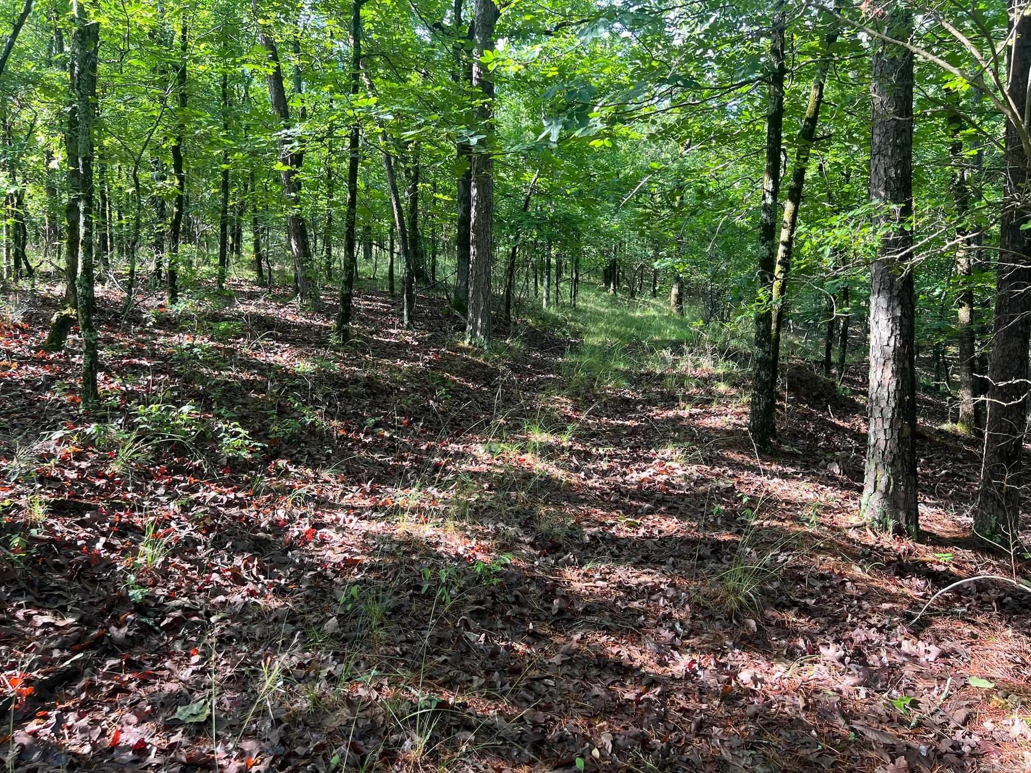 000 Possum Run Road Property Photo 32