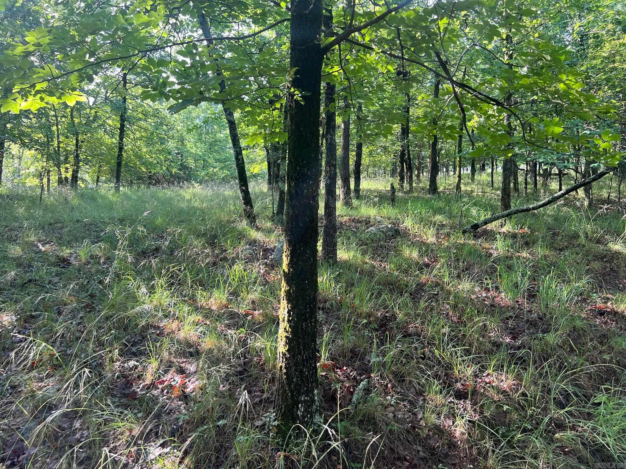 000 Possum Run Road Property Photo 33