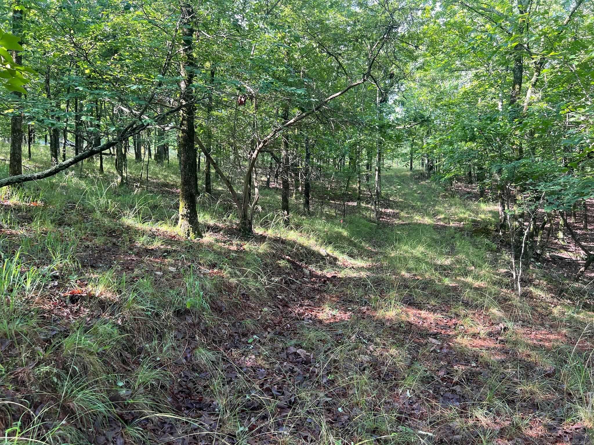 000 Possum Run Road Property Photo 34