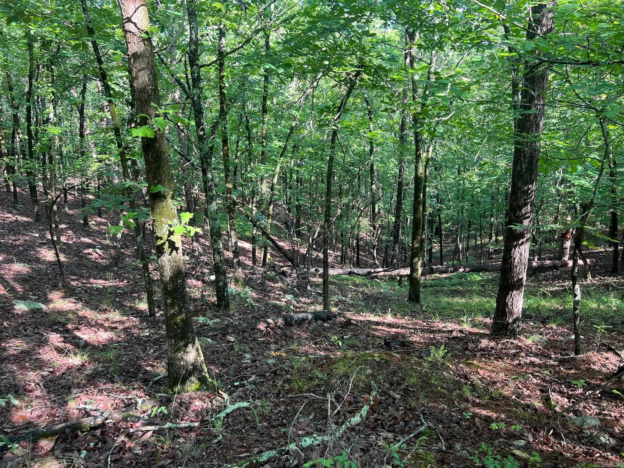 000 Possum Run Road Property Photo 35