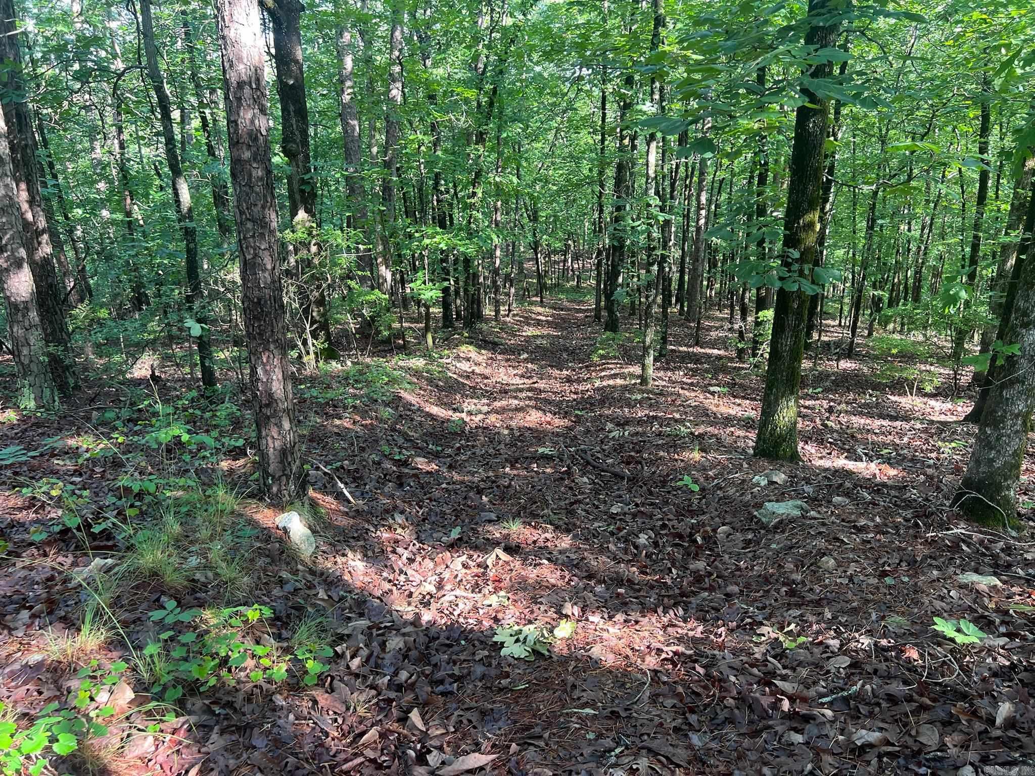 000 Possum Run Road Property Photo 37