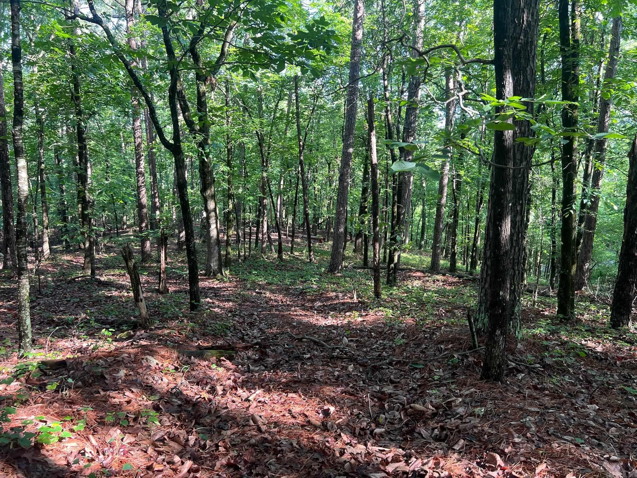 000 Possum Run Road Property Photo 38