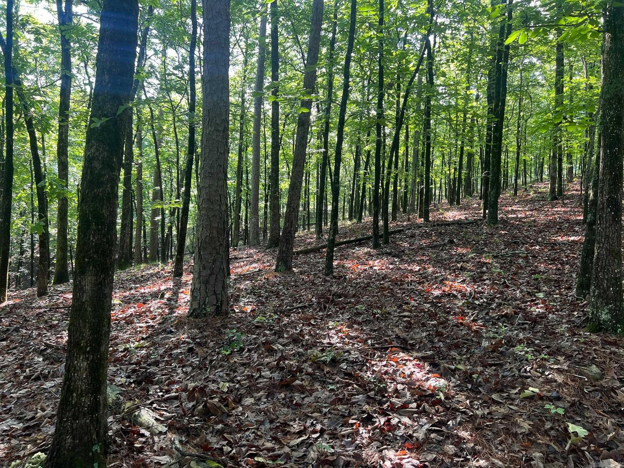 000 Possum Run Road Property Photo 39