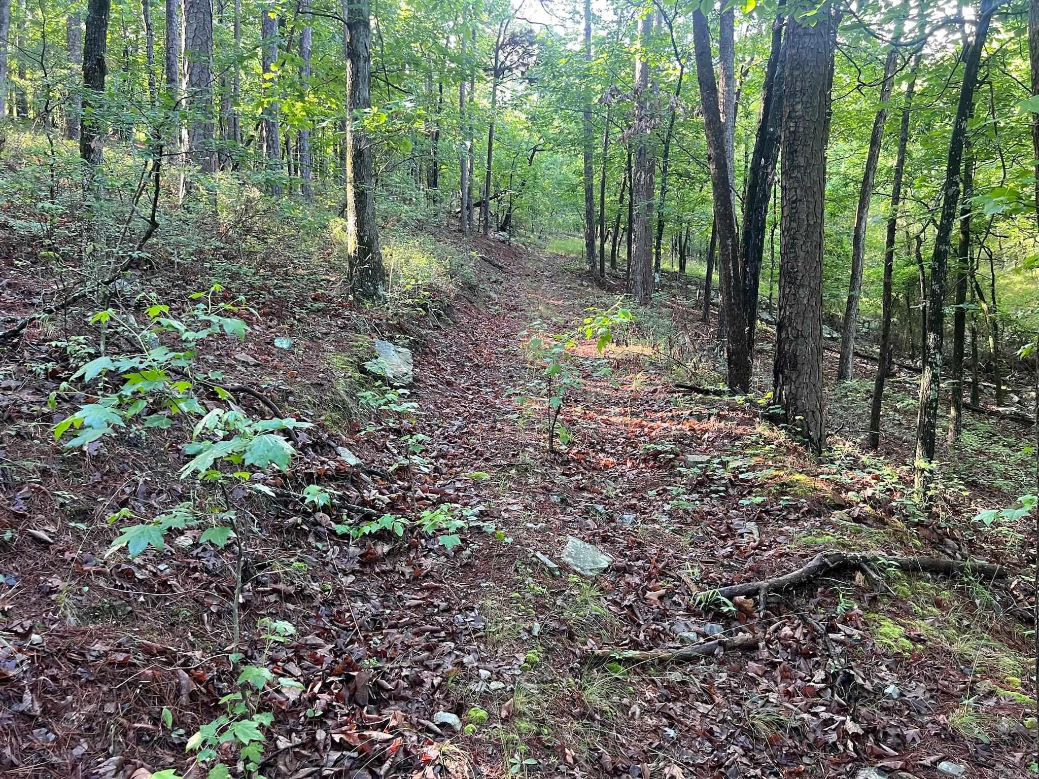 000 Possum Run Road Property Photo 40