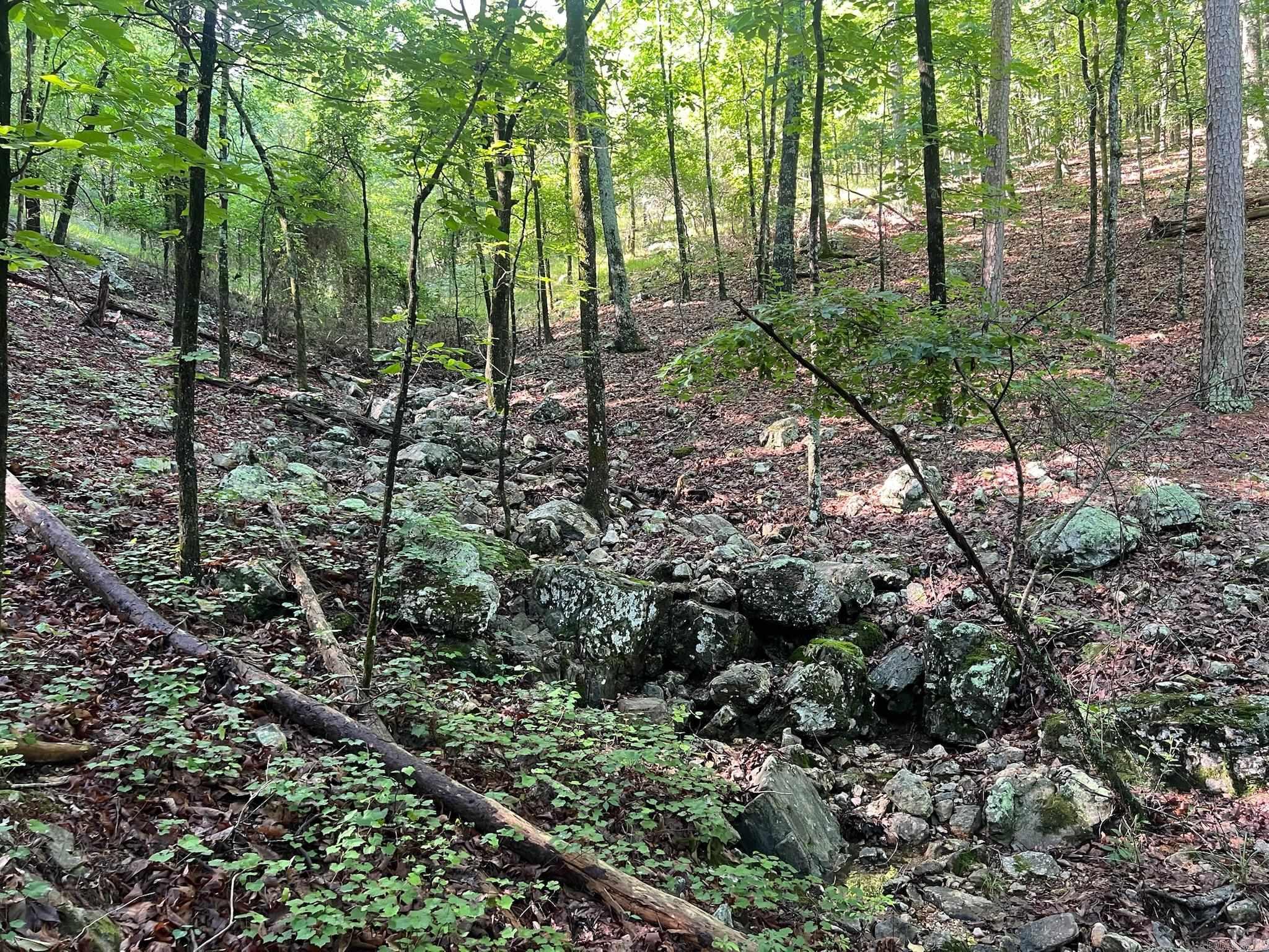 000 Possum Run Road Property Photo 41