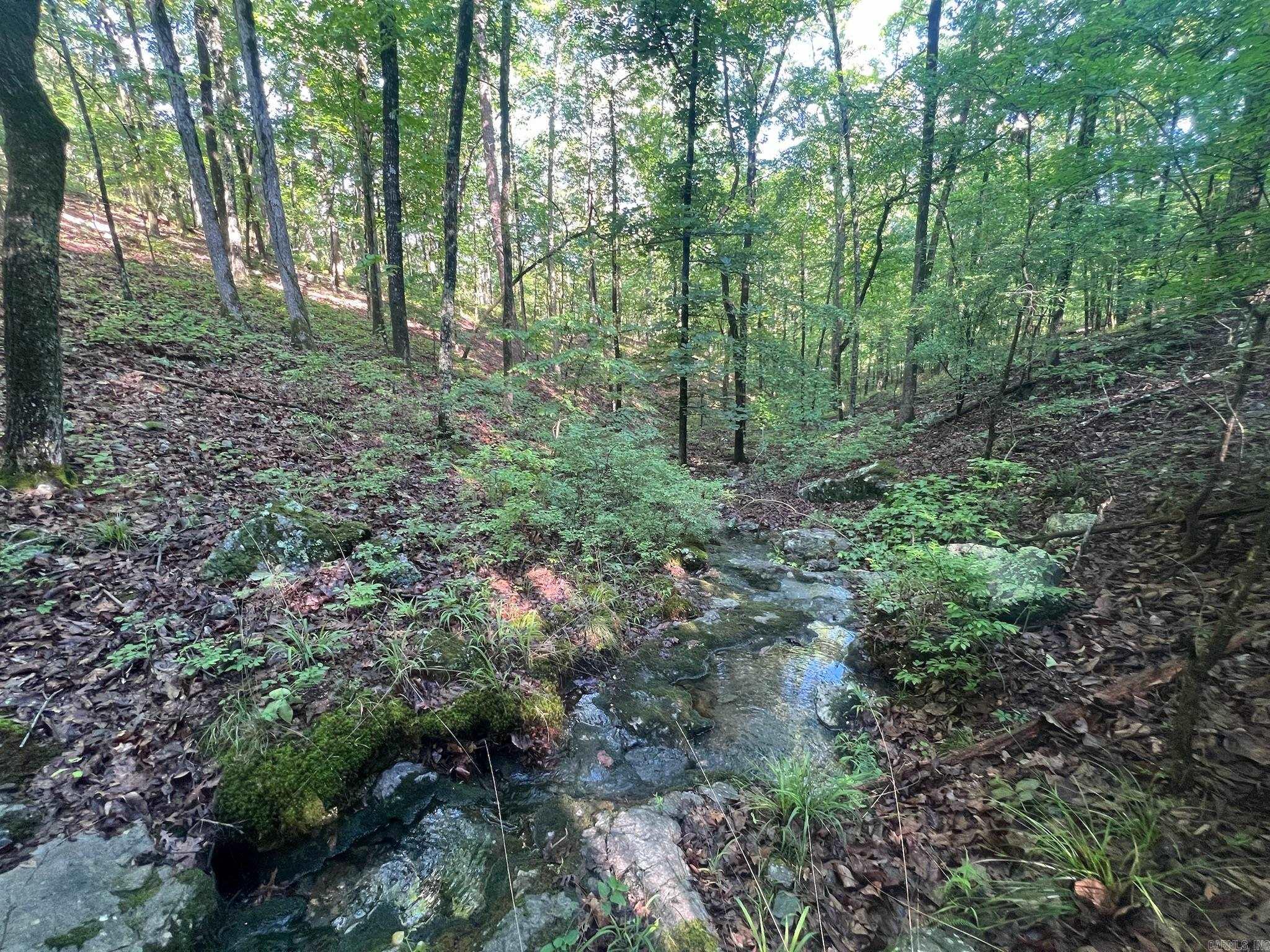 000 Possum Run Road Property Photo 43