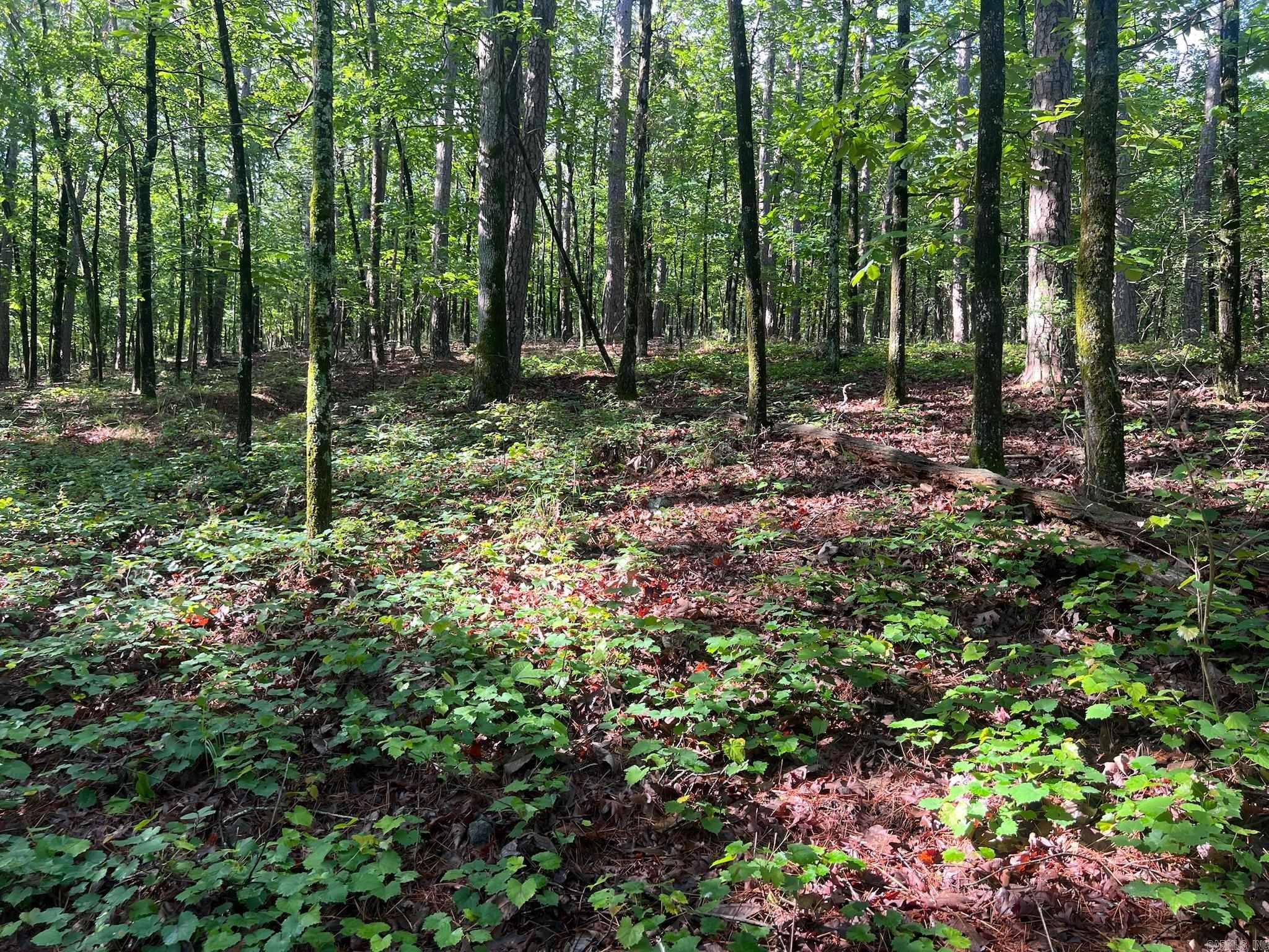 000 Possum Run Road Property Photo 45